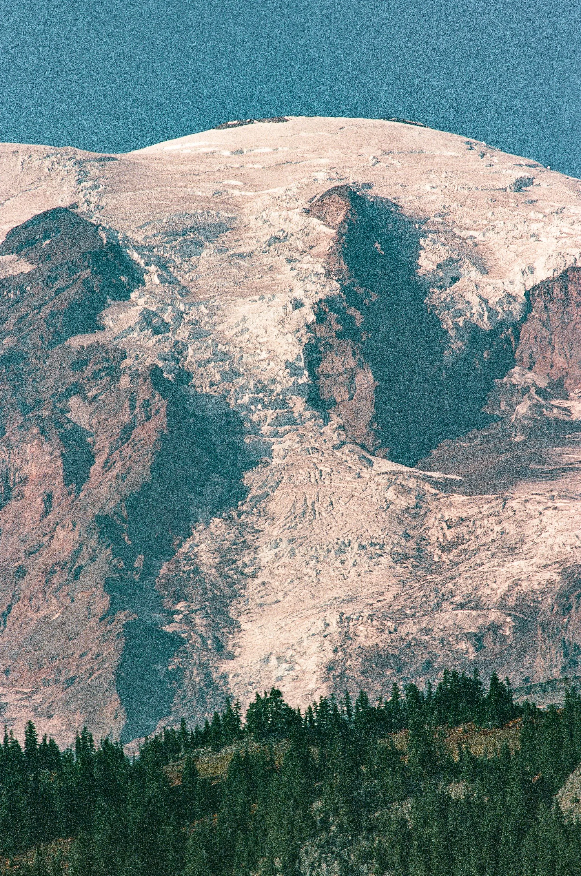 241012_Minoltax700_R2_Ektar100_P-24.jpg
