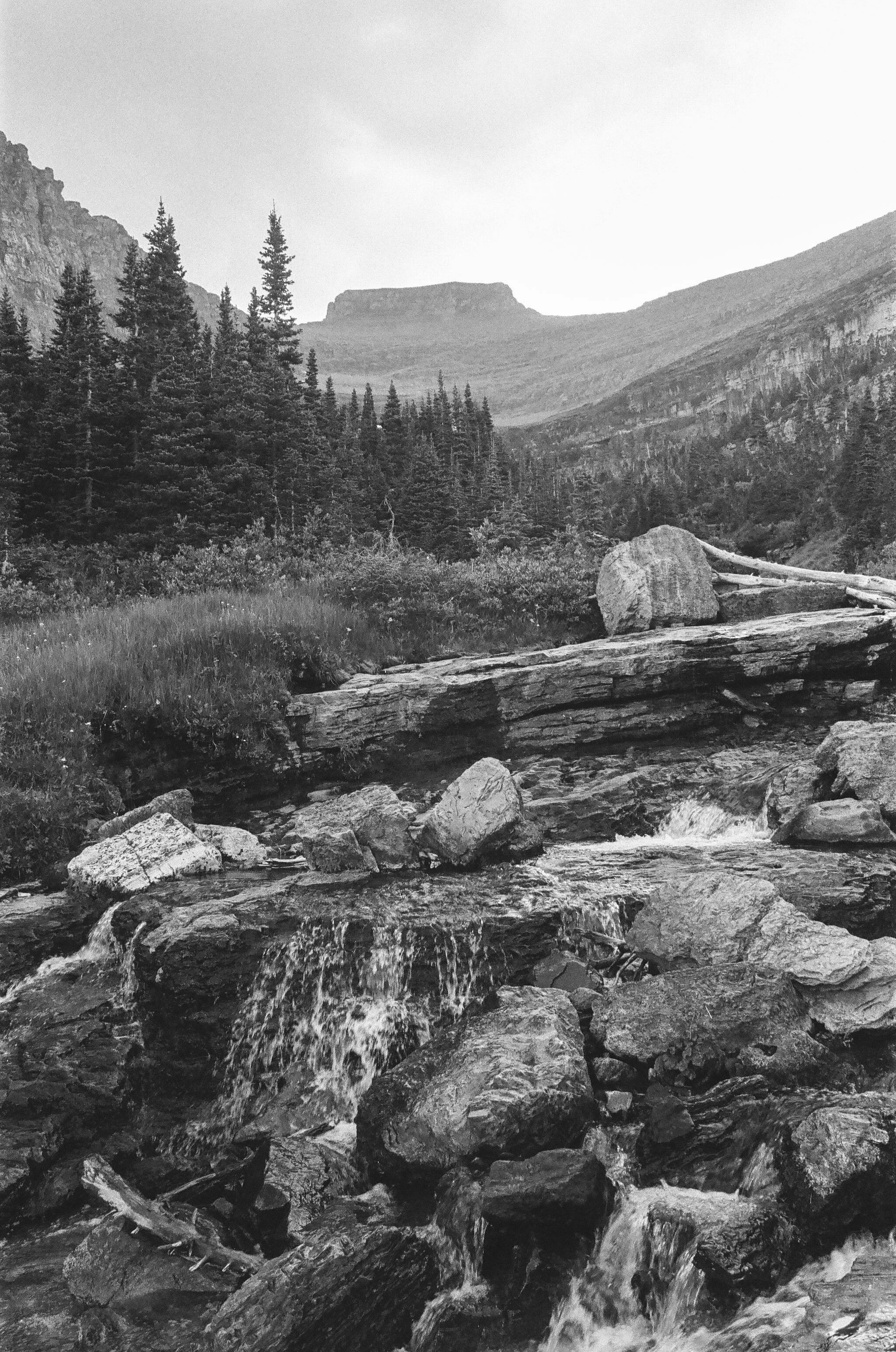 240809_Minoltax700_R3_HP5Plus_P-29.jpg