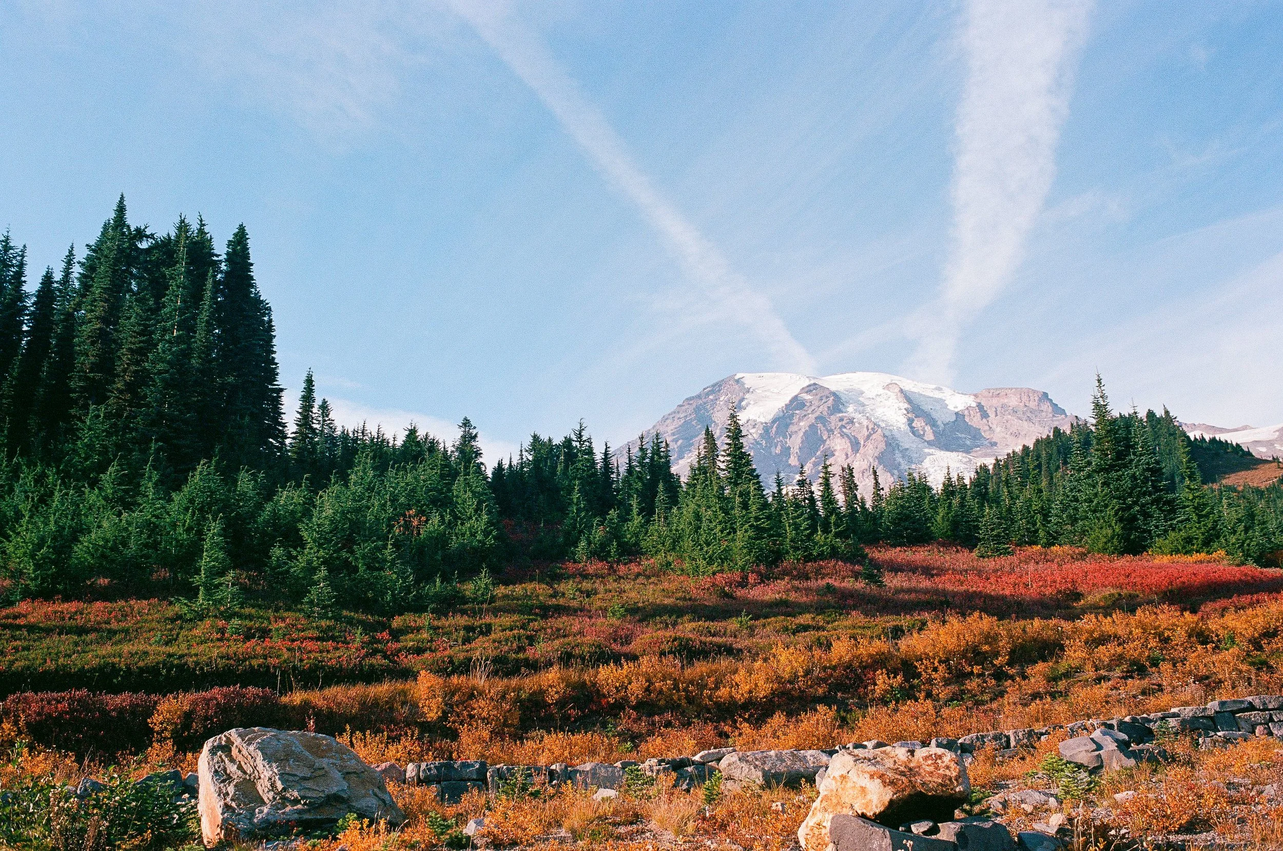 241012_Minoltax700_R2_Ektar100_P-14.jpg