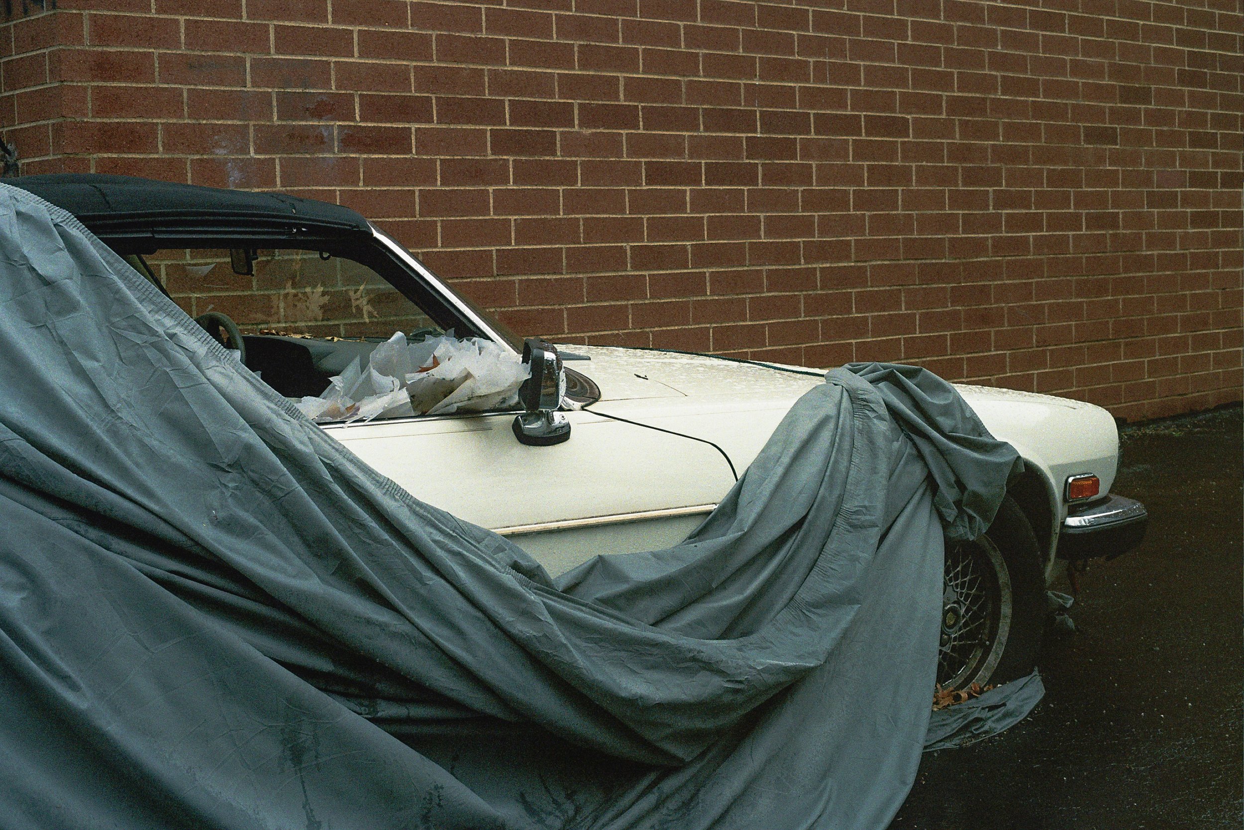 240311_Minoltax700_R1_Fuji400_P2-27.jpg