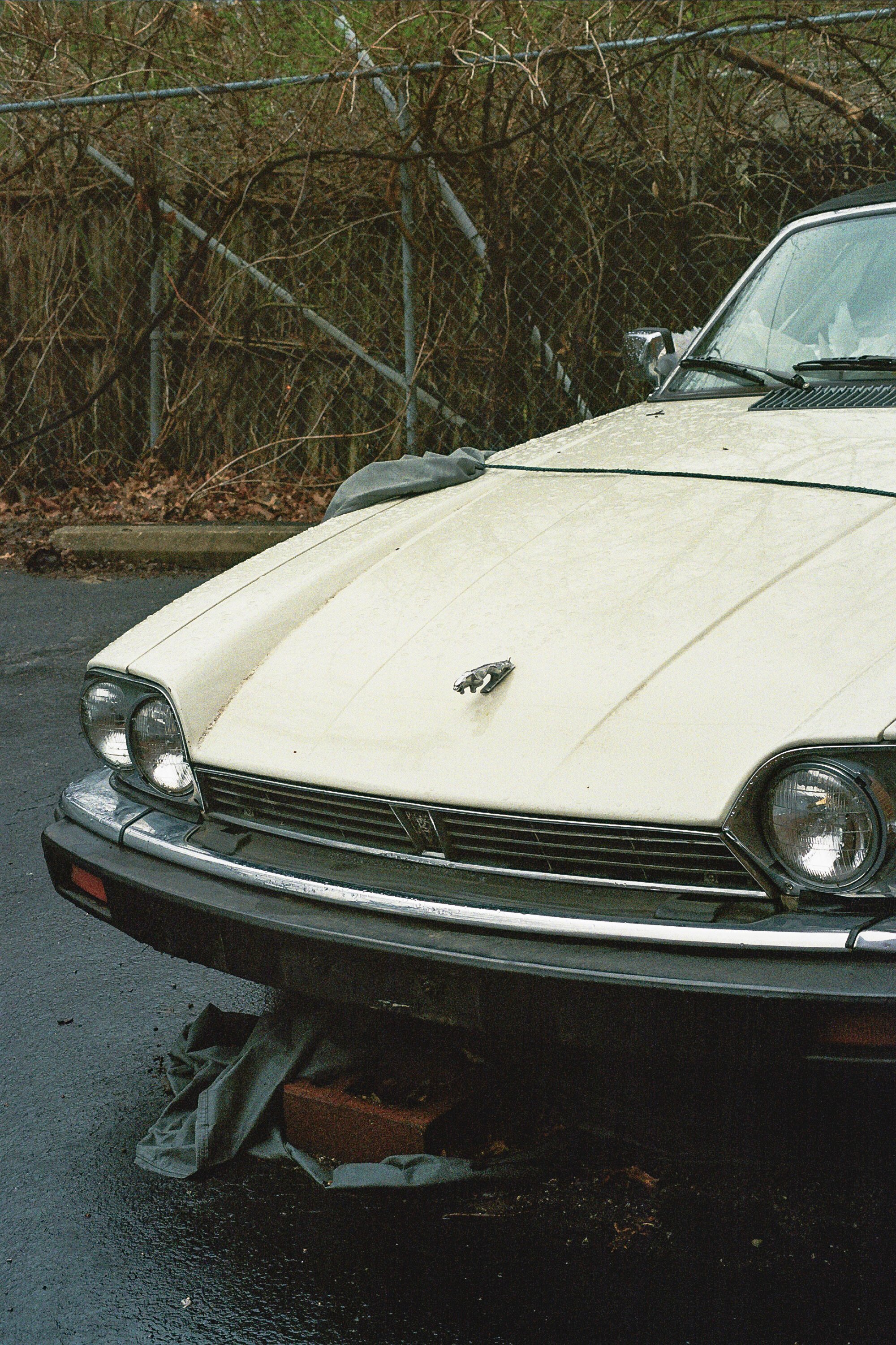 240311_Minoltax700_R1_Fuji400_P2-31.jpg