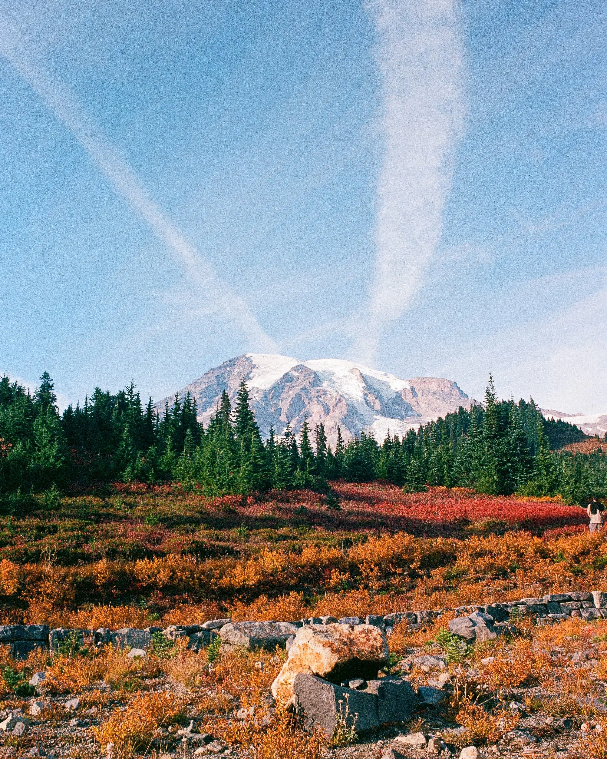 241012_Minoltax700_R2_Ektar100_P-15.jpg