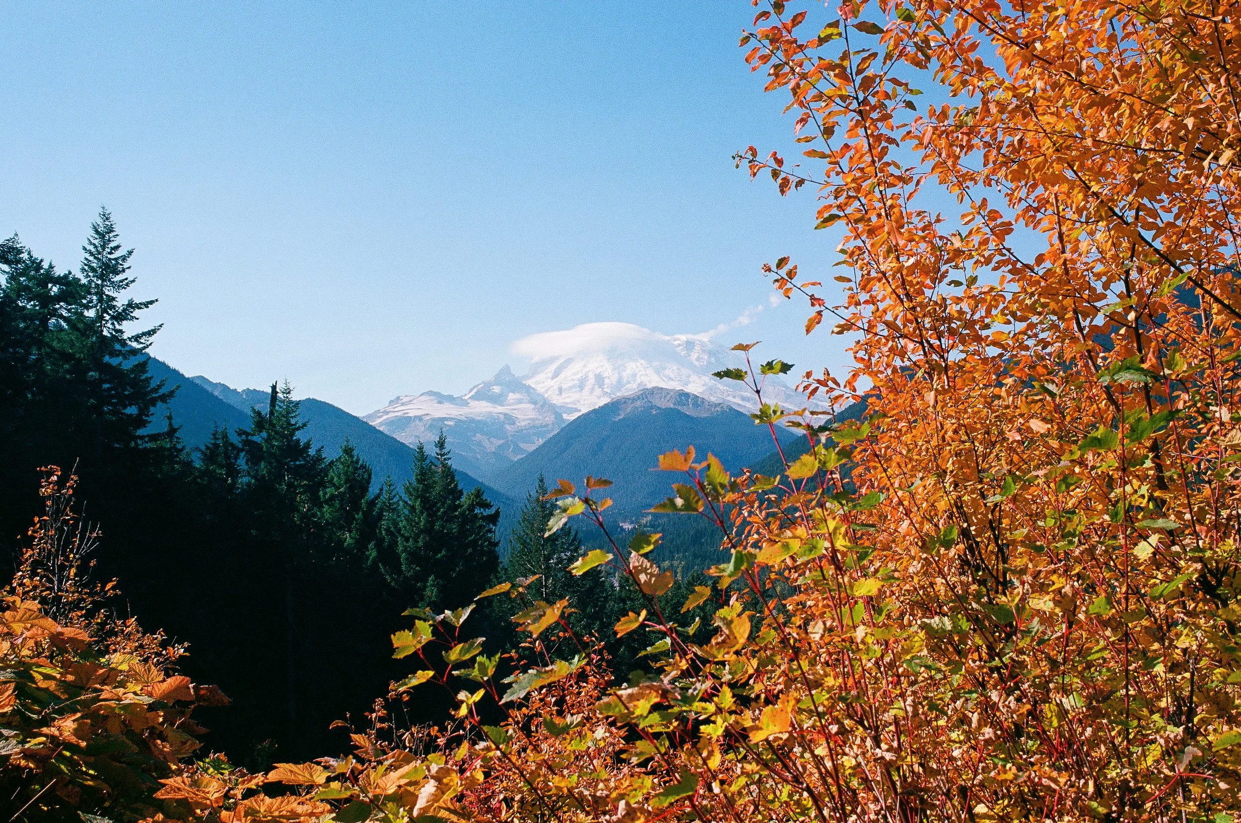 241012_Minoltax700_R2_Ektar100_P-34.jpg