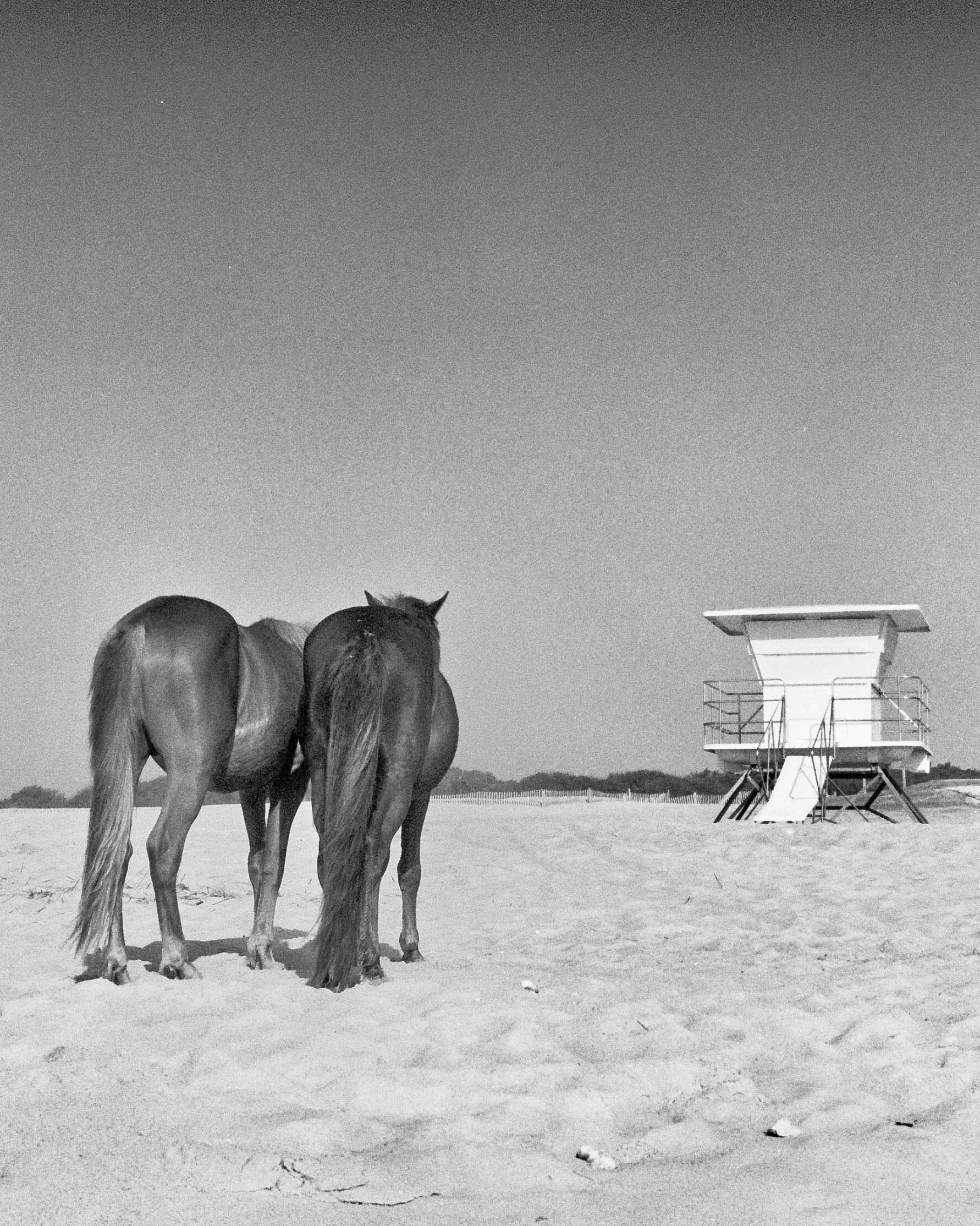 240604_Minoltax700_R4_Pan400_P-11.jpg