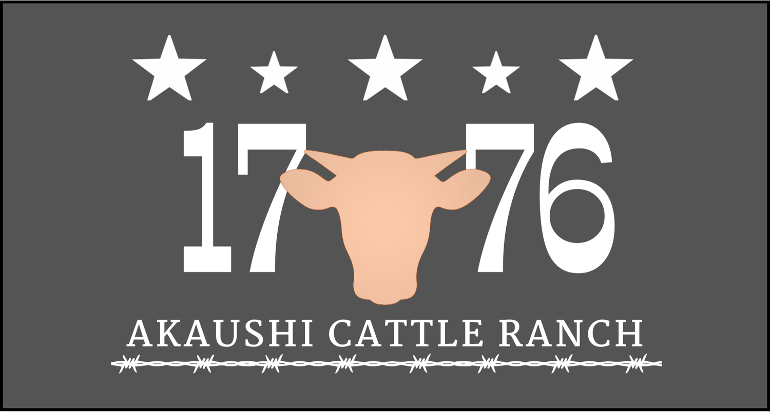 Stars Over 1776 Ranch