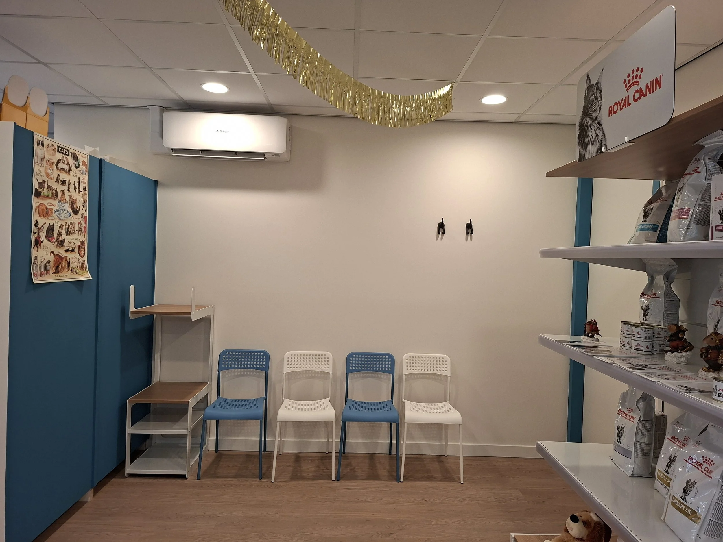 De katten-wachtkamer