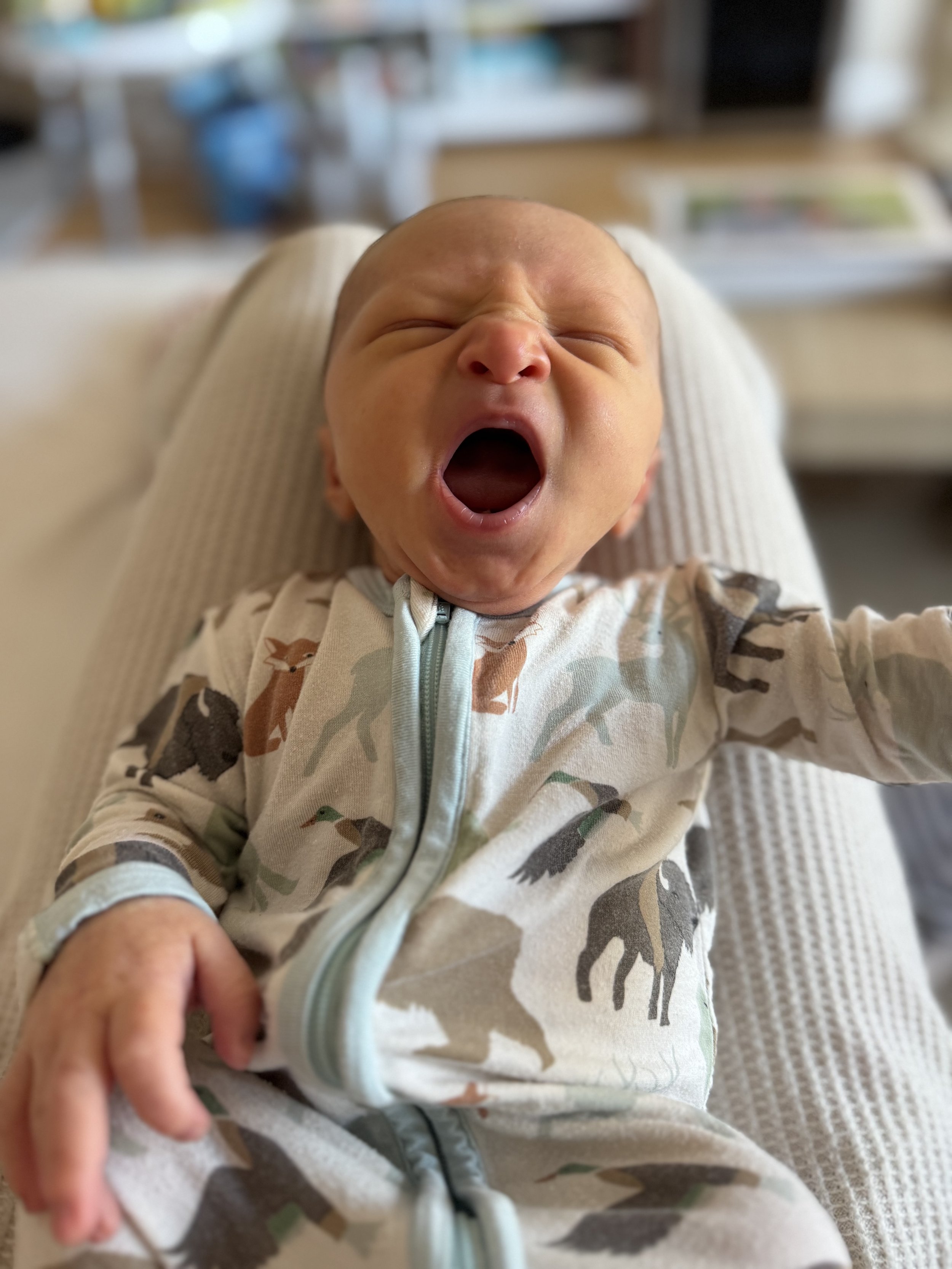 Pregnancy & First 12 weeks