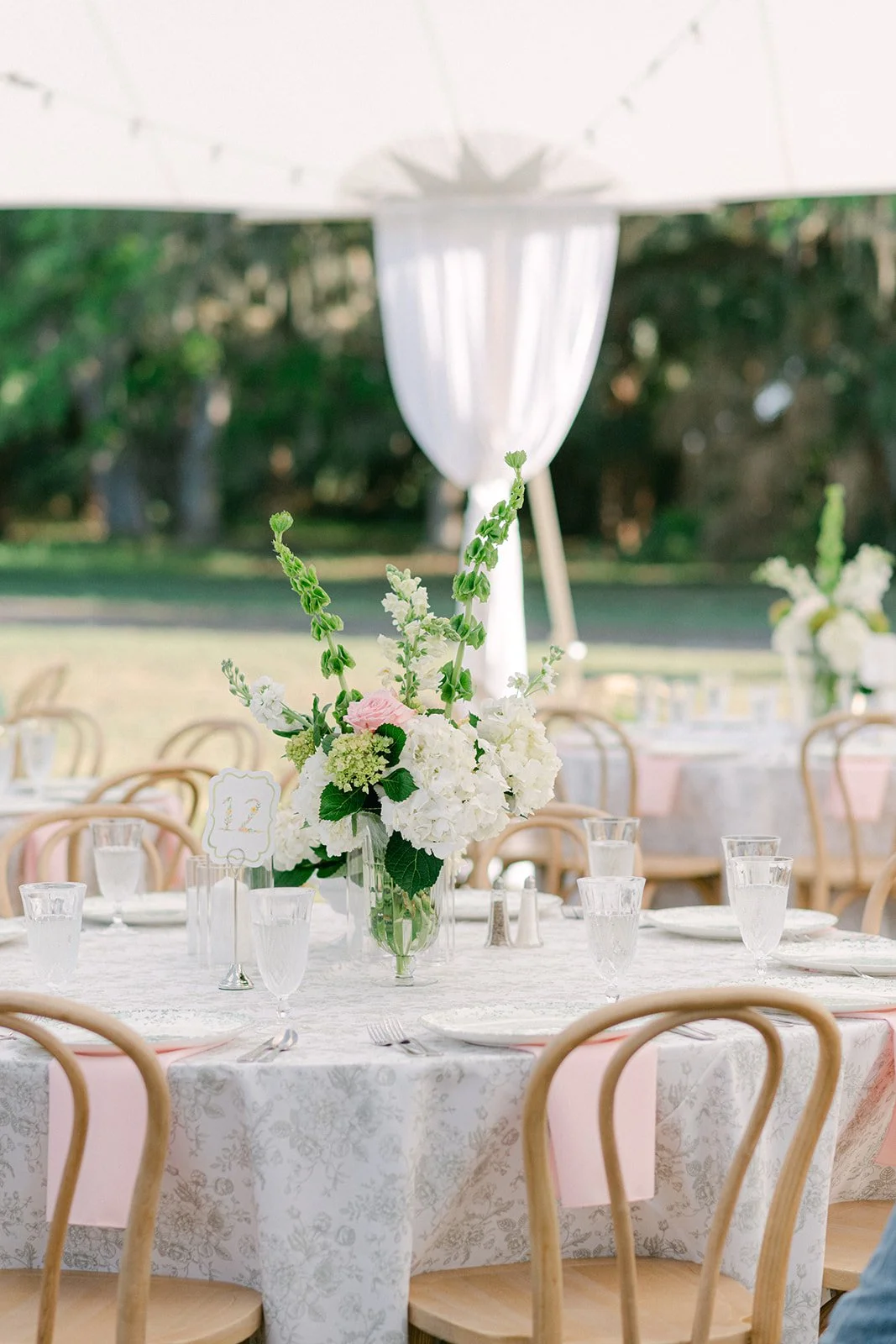 sailcloth-tent-wedding-reception-floral-toile-linens-bentwood-chairs-tampa.jpg