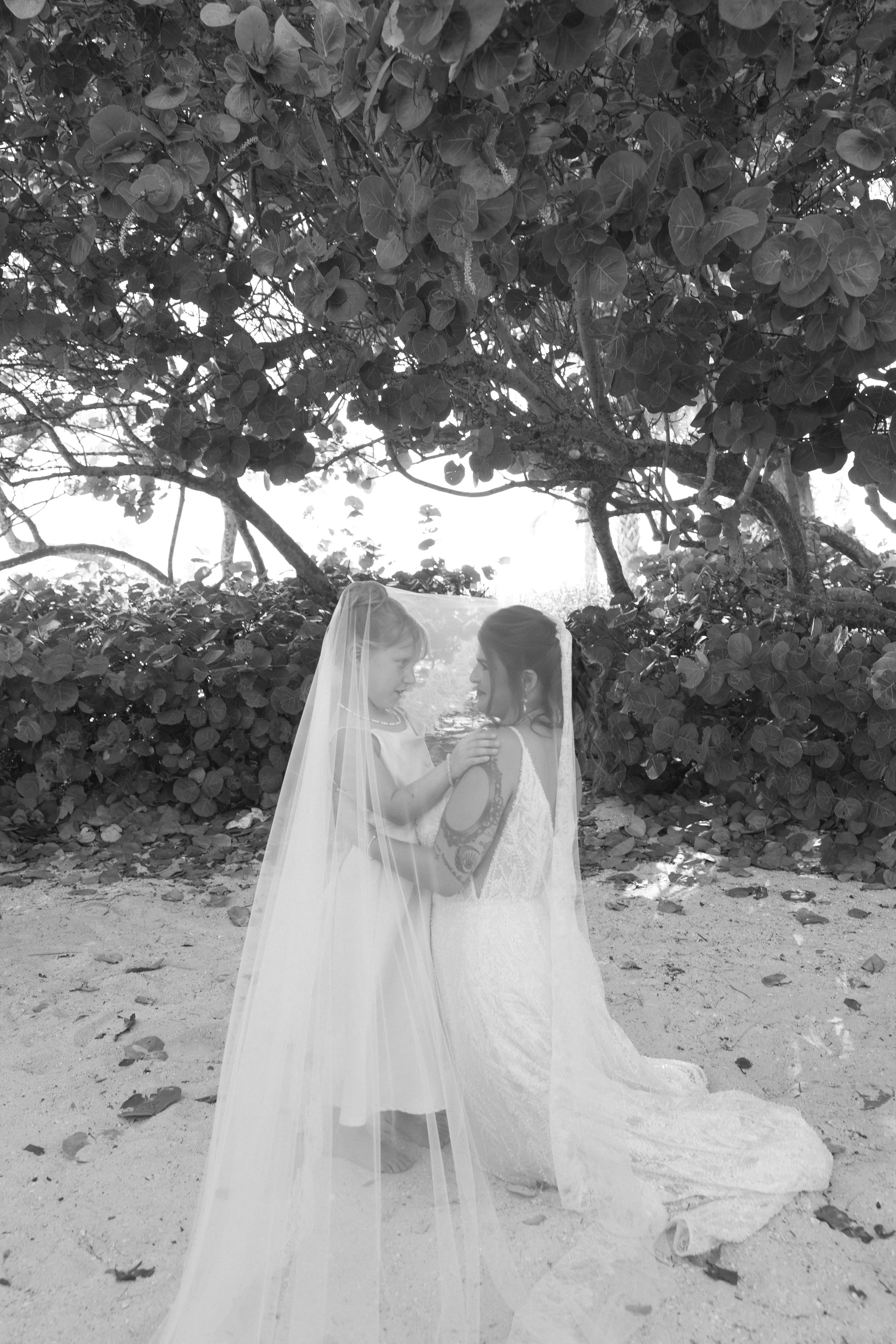 bride-solo-portrait-under-tree-veil-black-and-white-grand-pavilion-sandbar-wedding.jpg