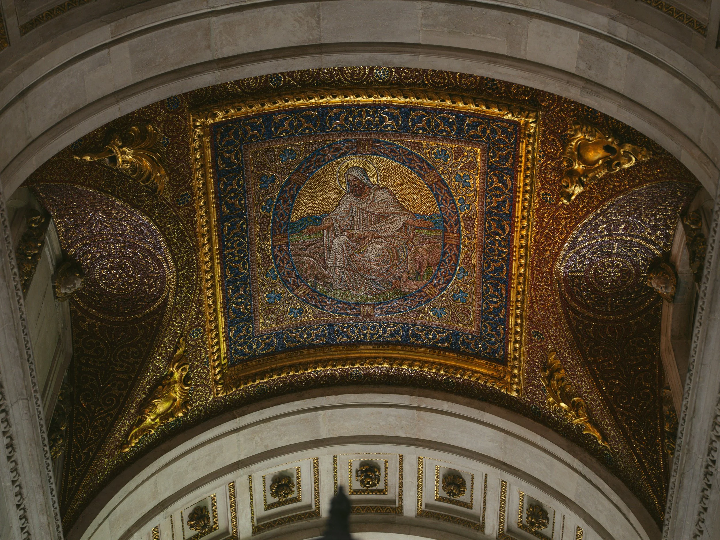 DSC03184.jpg