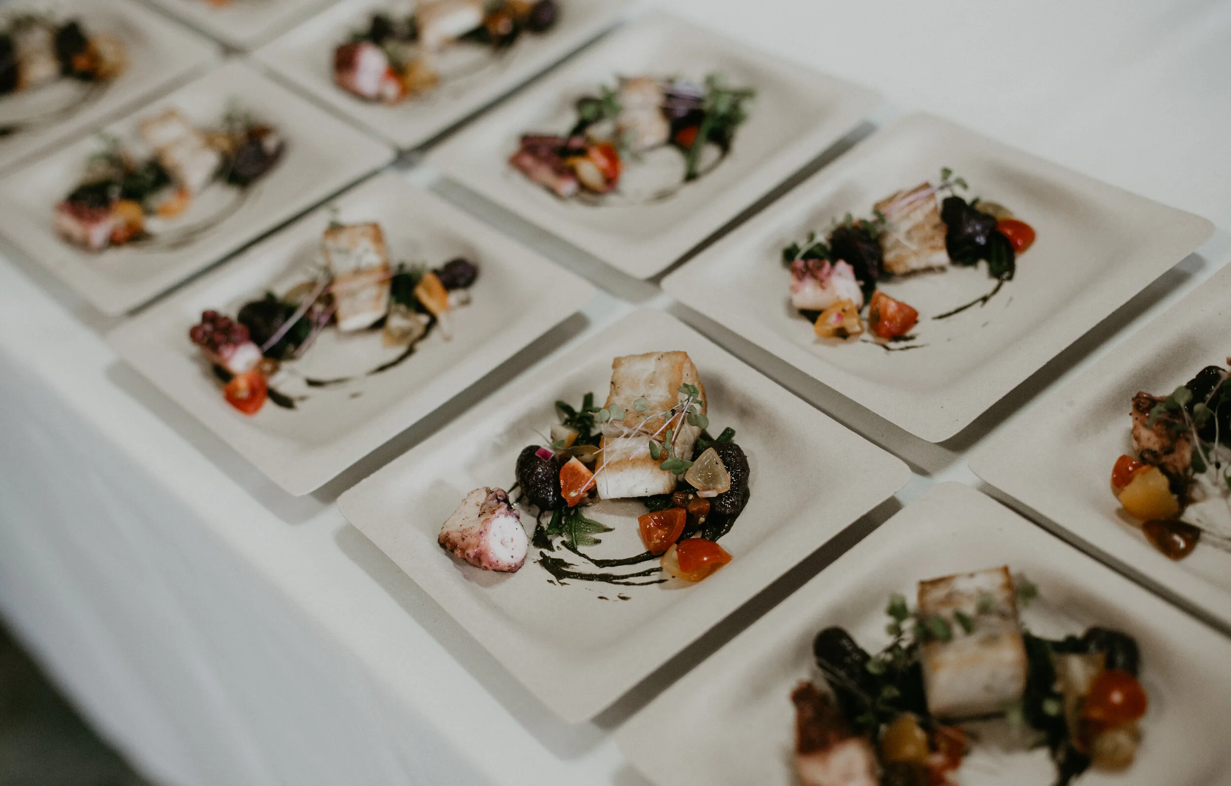 Traveling Plate Hilo.jpg