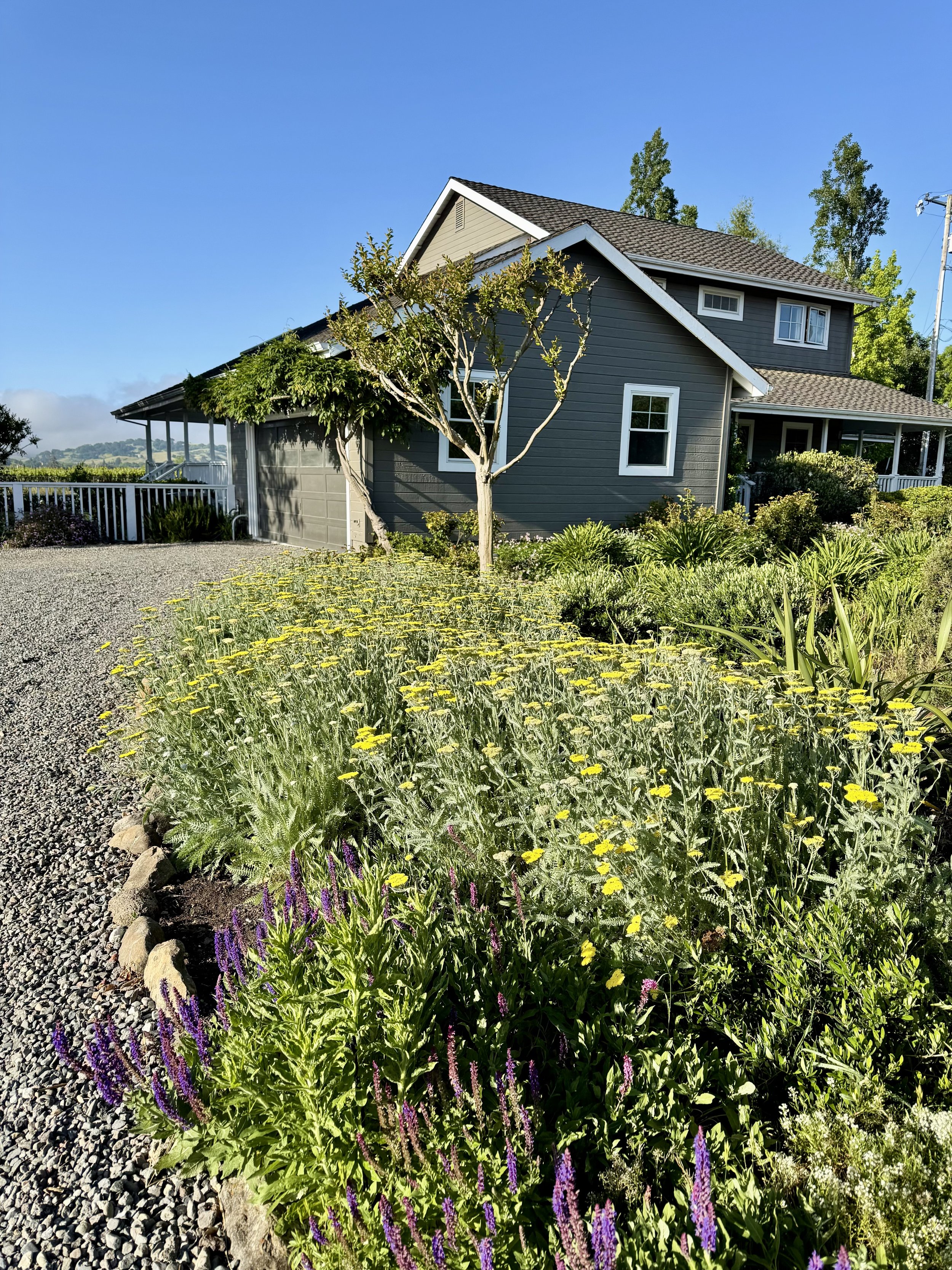 A gray house with white trim and a porch, surrounded by lush green plants and yellow and purple flowers, under a clear blue sky.