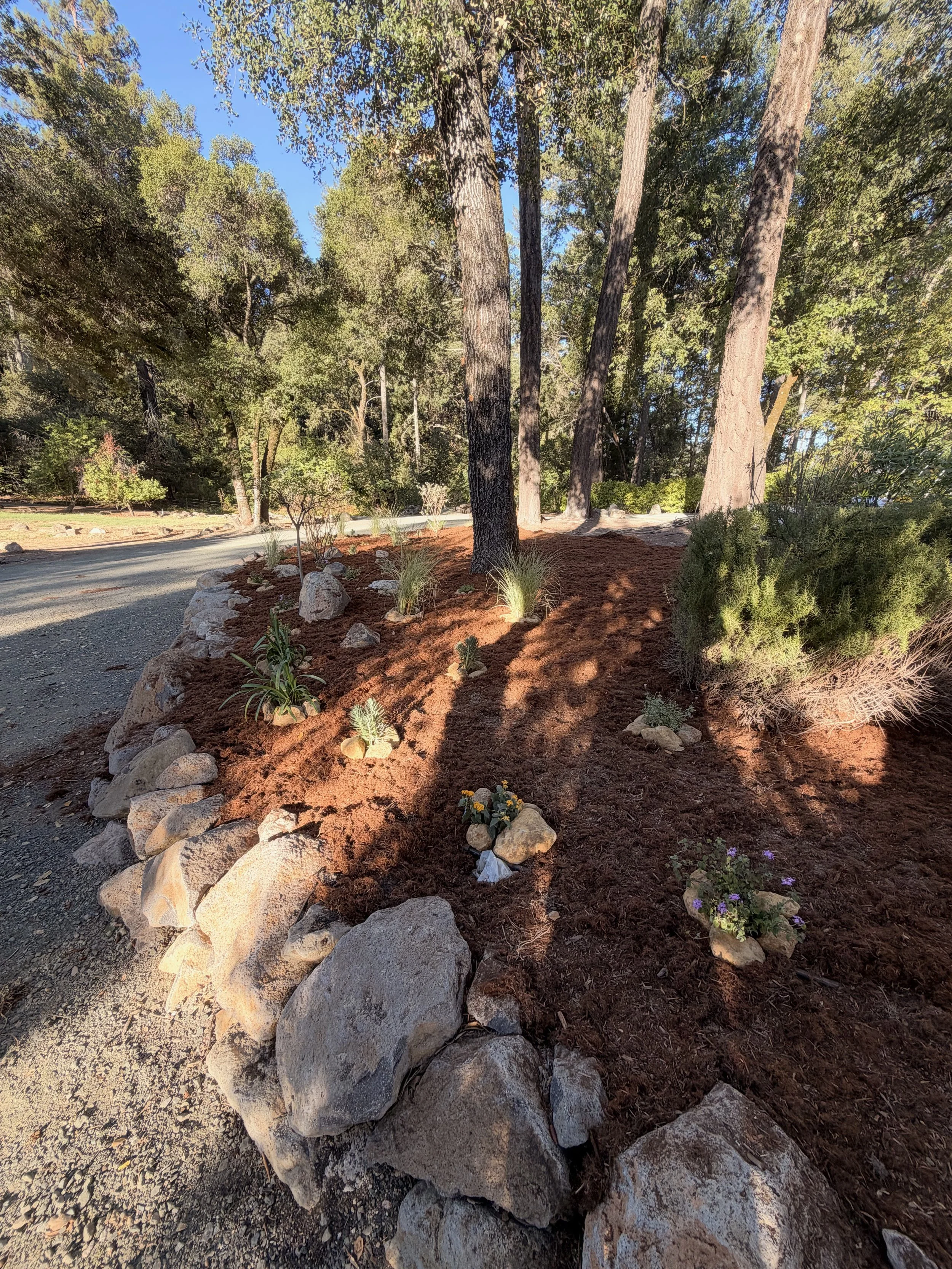 landscape design by Gabe Sonoma CA.jpeg