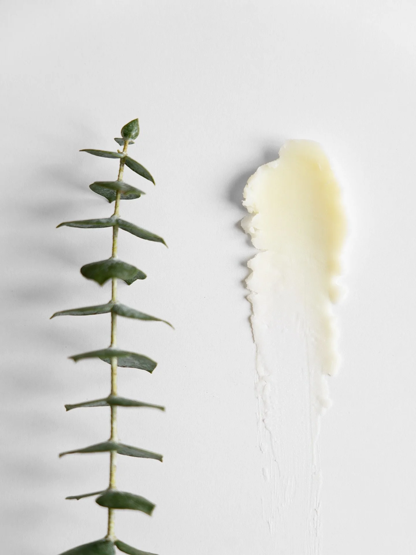 Real results come from real ingredients. 

Our Tallow Balm helps smooth texture, calm redness, and restore moisture using only premium wagyu tallow and organic beeswax. 🌿

#beauty #glow #green #health