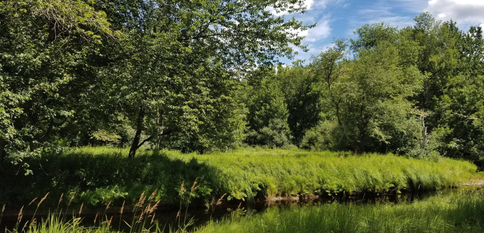 Levels of Service at a Watershed Scale - A pathway to resiliency beyond borders