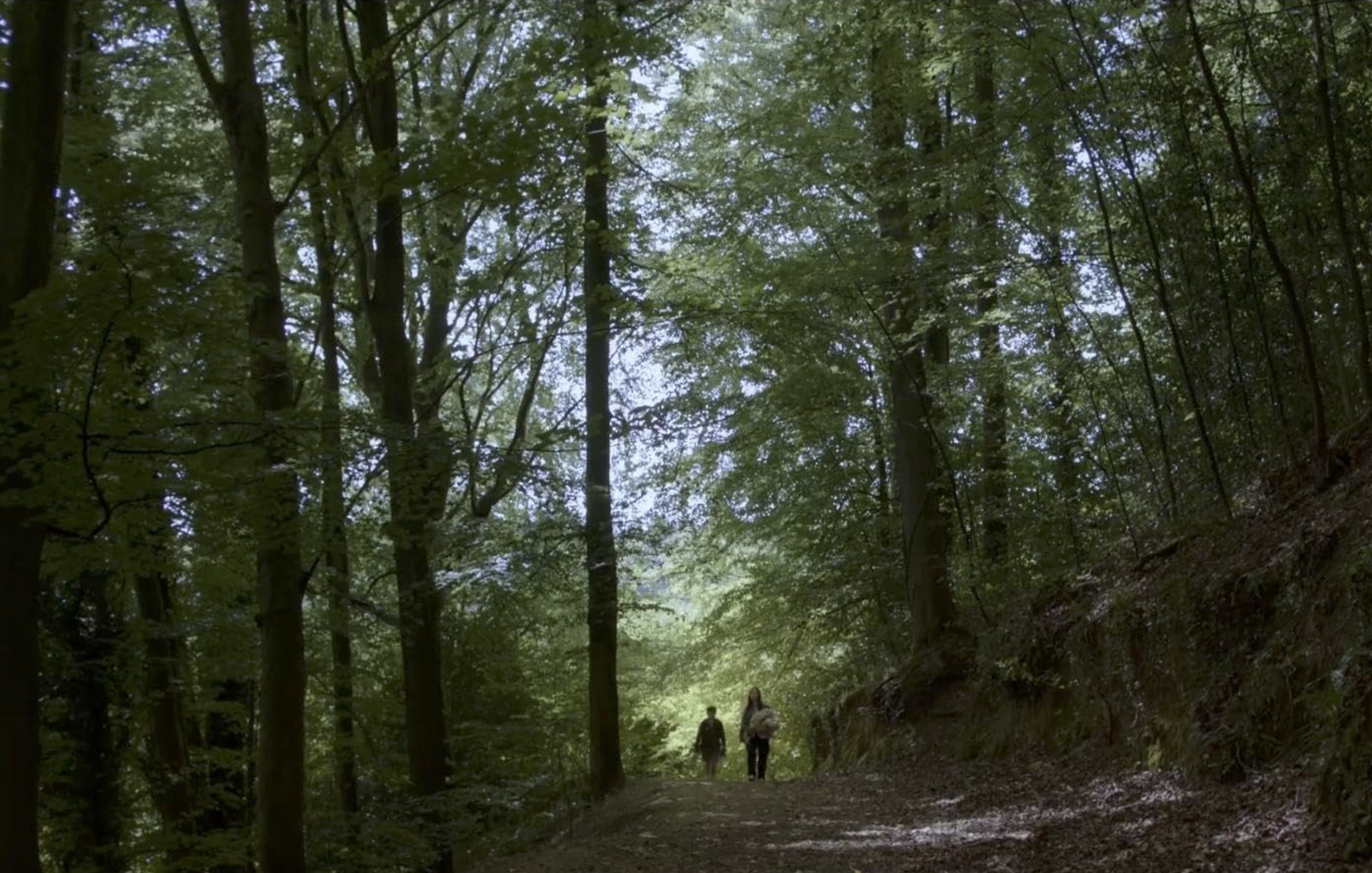 Screenshot 2026-04-24 at 4.08.13 PM.png