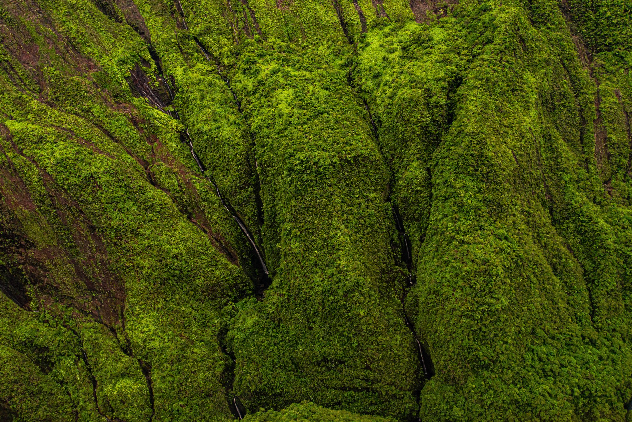 Maui-19.jpeg