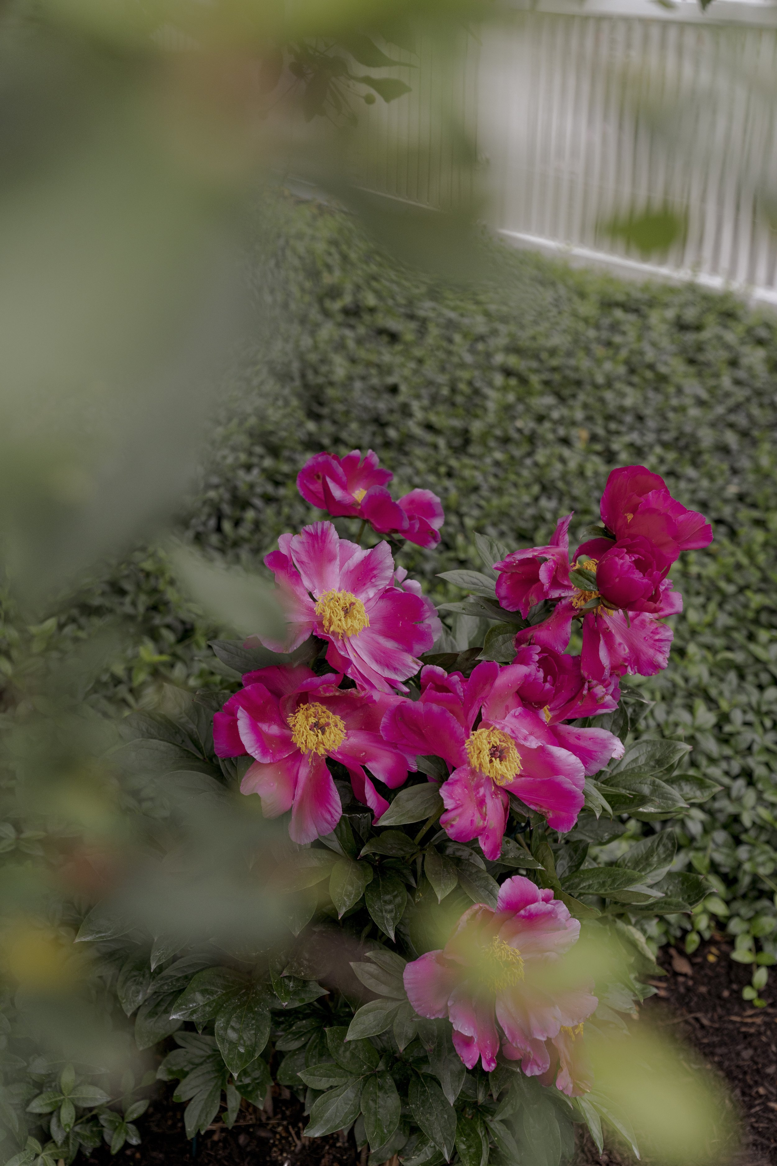 _DSC9017.jpeg