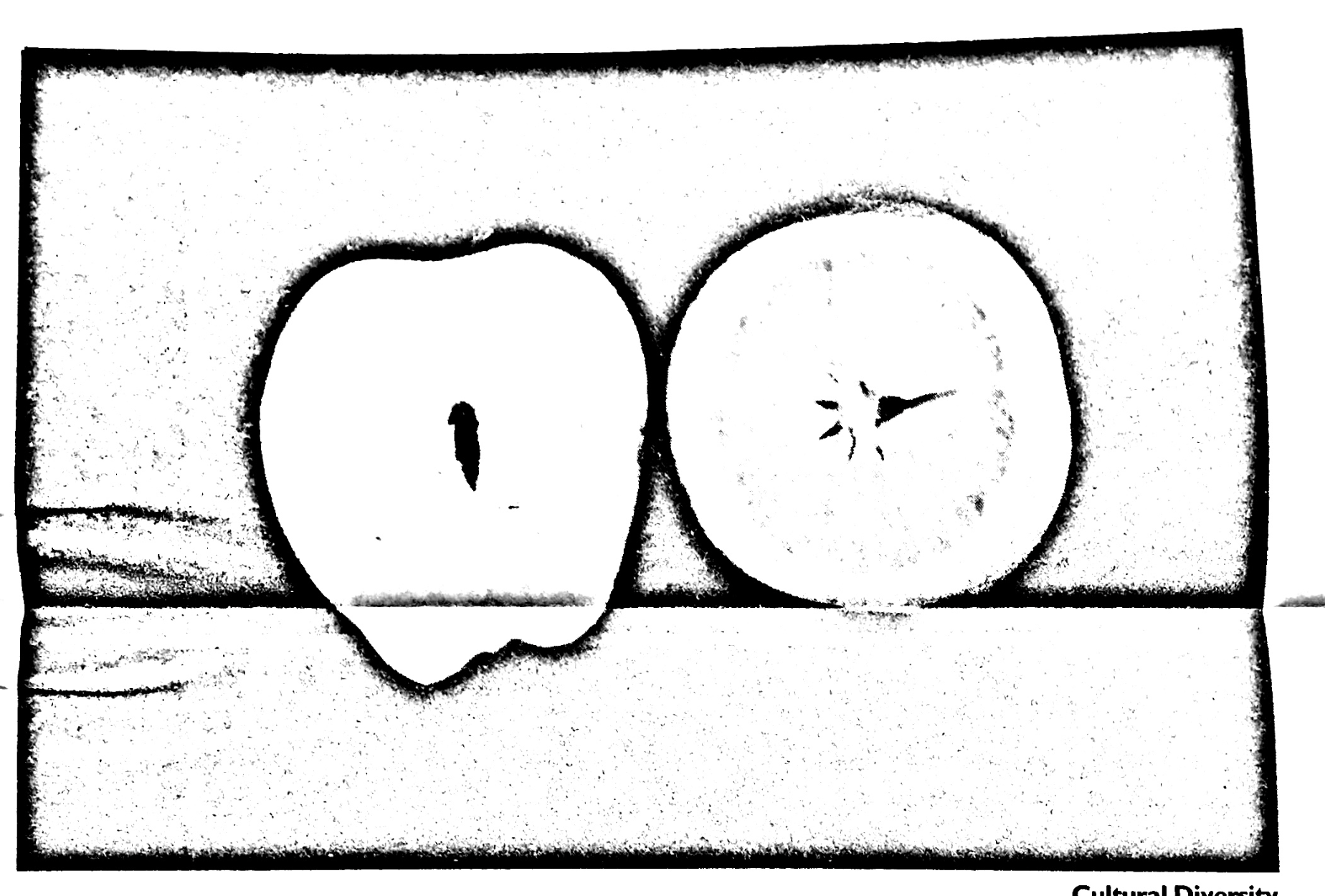 NAAO Bulletin – March-April 1988