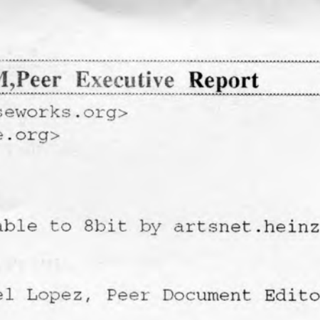 The Peer Arts Service Organizations Partnership Project, A Report to the Field, 1998 — Executive Summary Draft by Carla Peterson