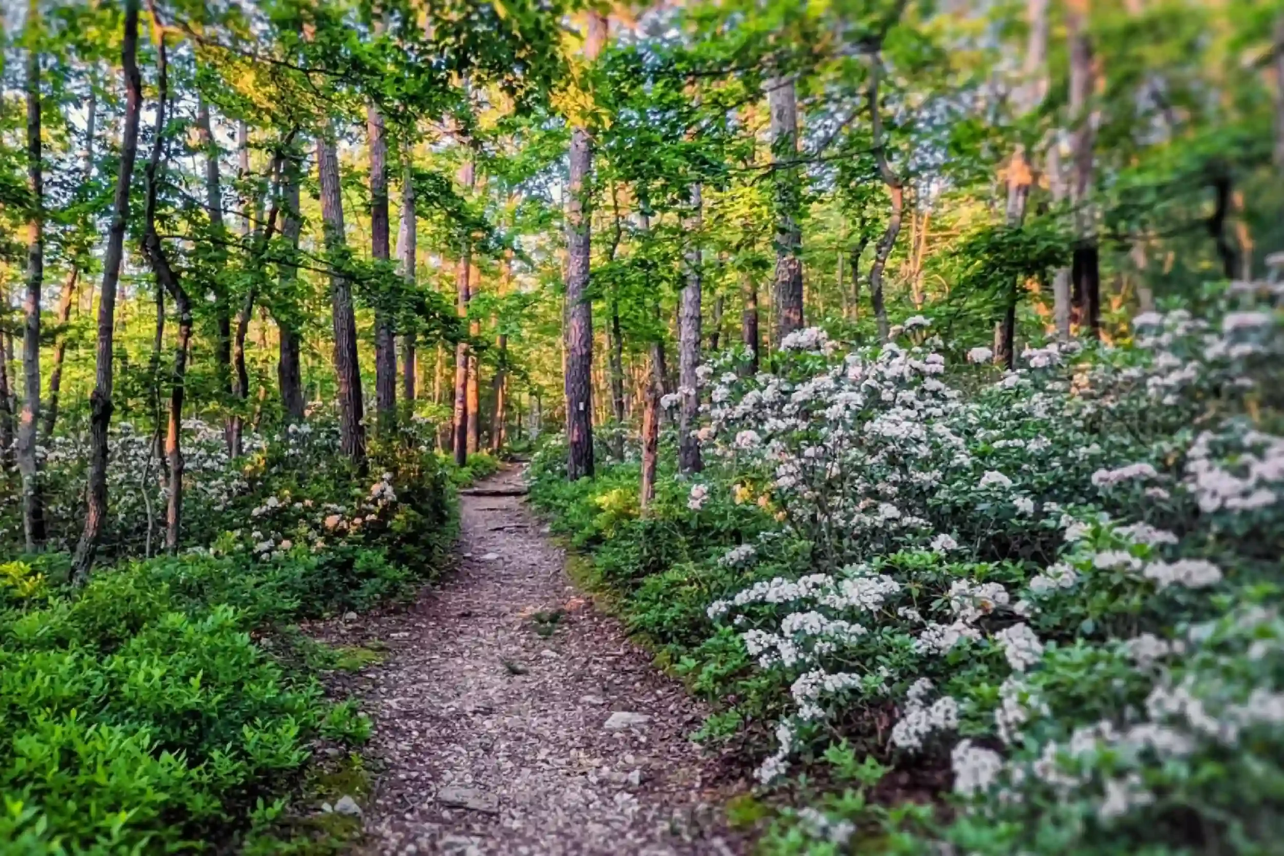 ALWL Continuing Education Event