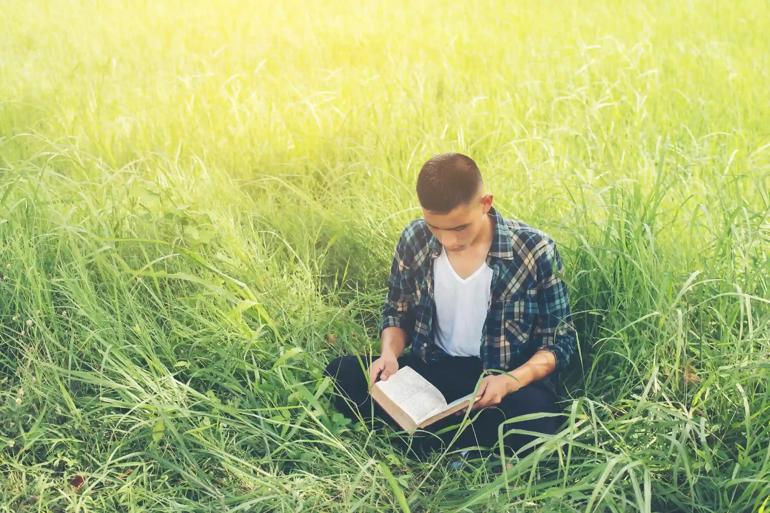 Young man with glasses, wearing a checkered shirt and white t-shirt, reading a book while sitting in tall grass outdoors on a sunny day.