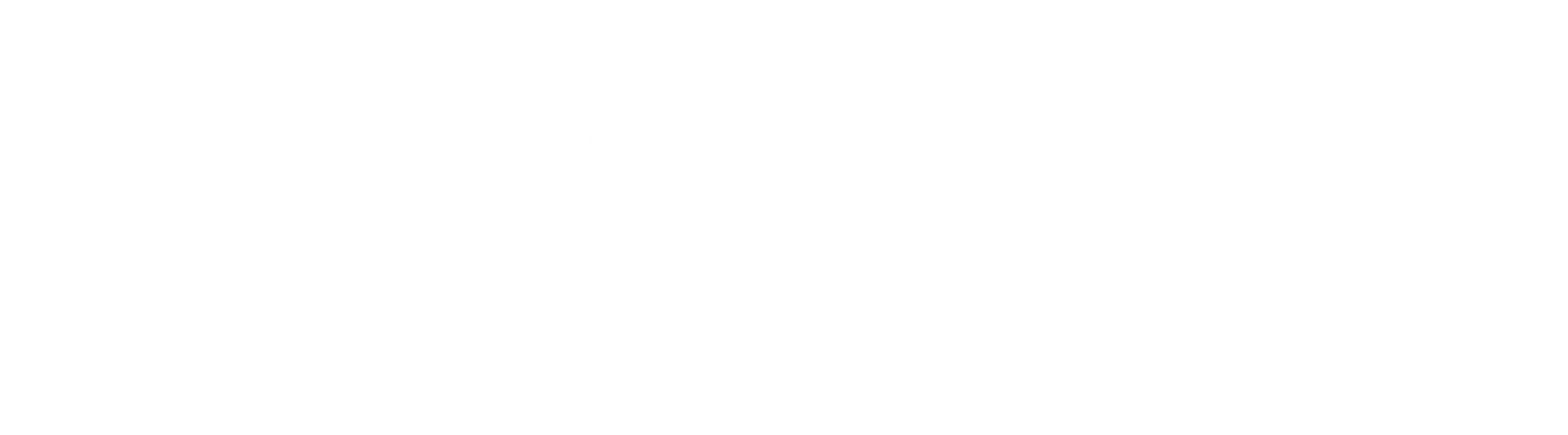 Black background with white text that reads "the WASHINGTON Post" with a small white stylized flower to the right.