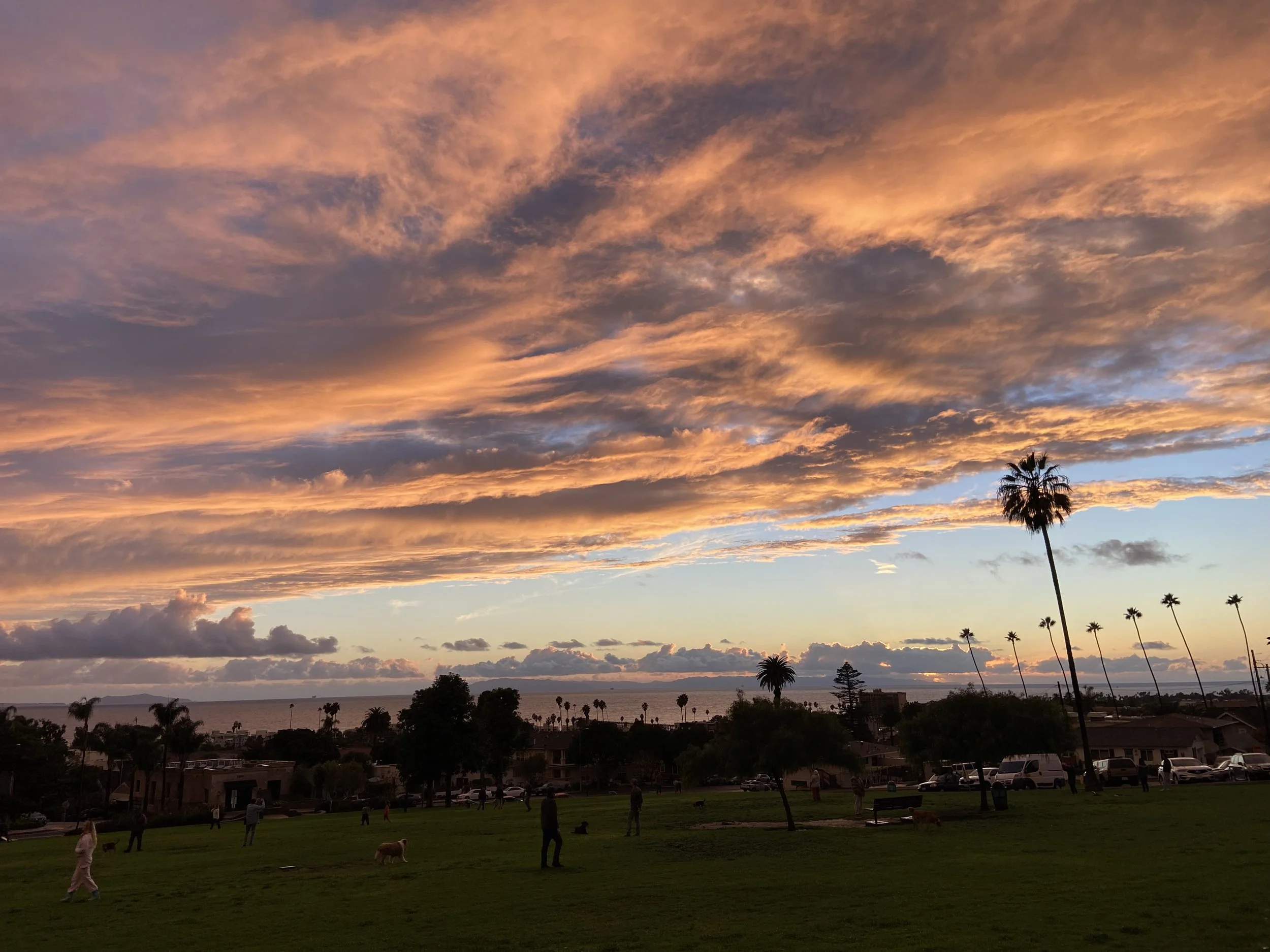 A Thankful Reflection from Zen Pet Care Solutions