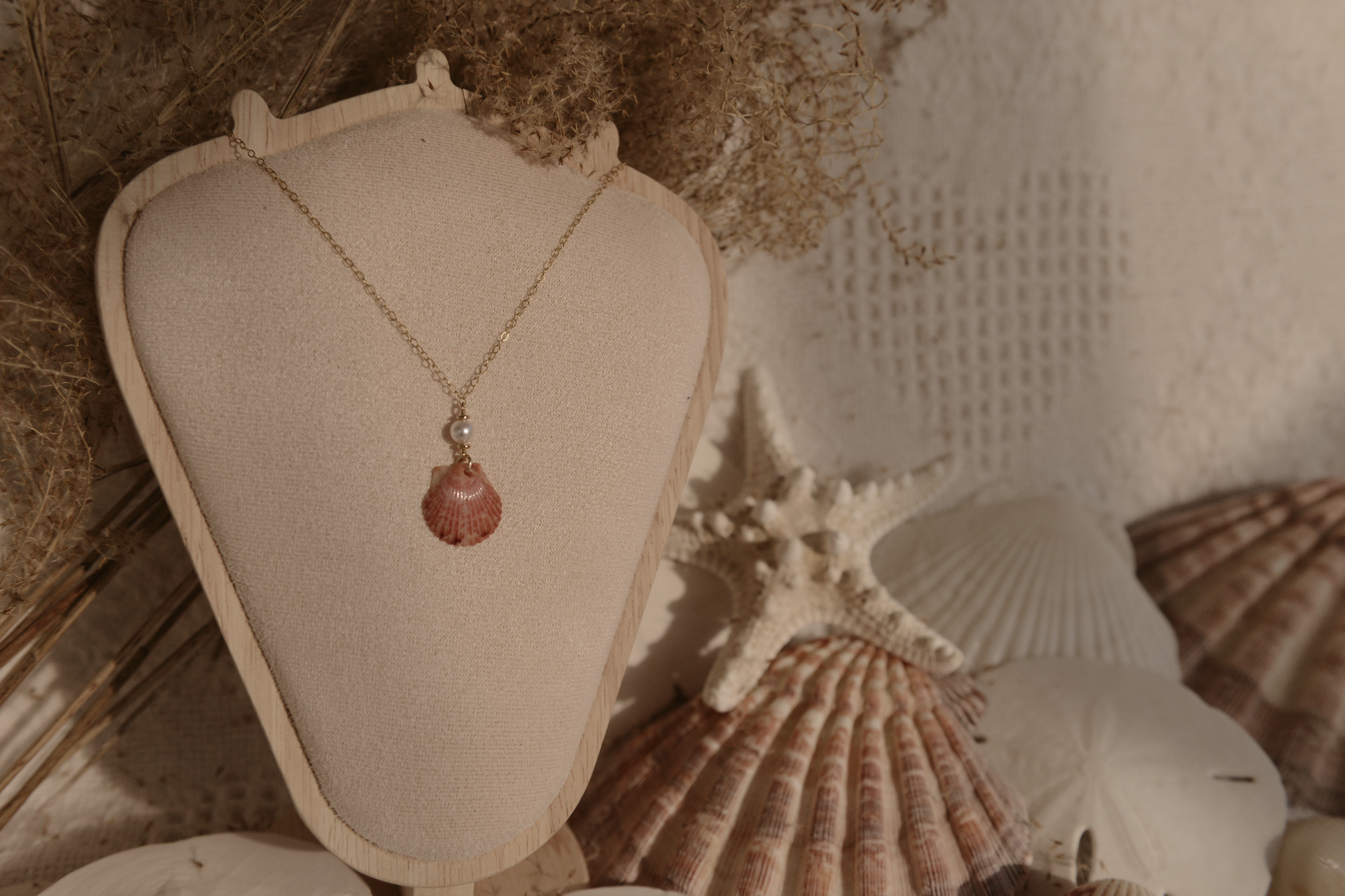 Screenshot 2026-01-29 at 8.14.39 PM.png