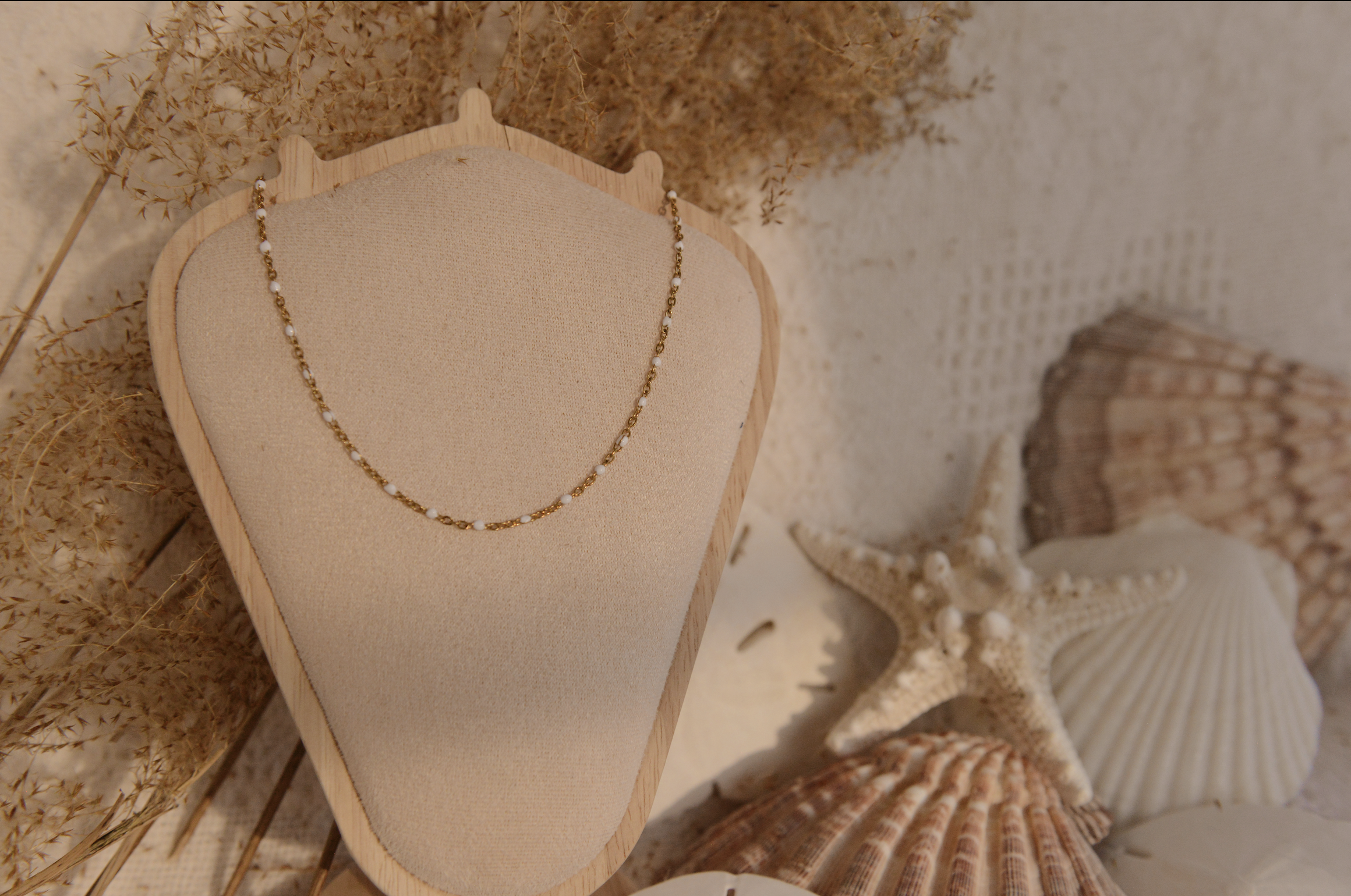 Screenshot 2026-01-29 at 7.30.47 PM.png