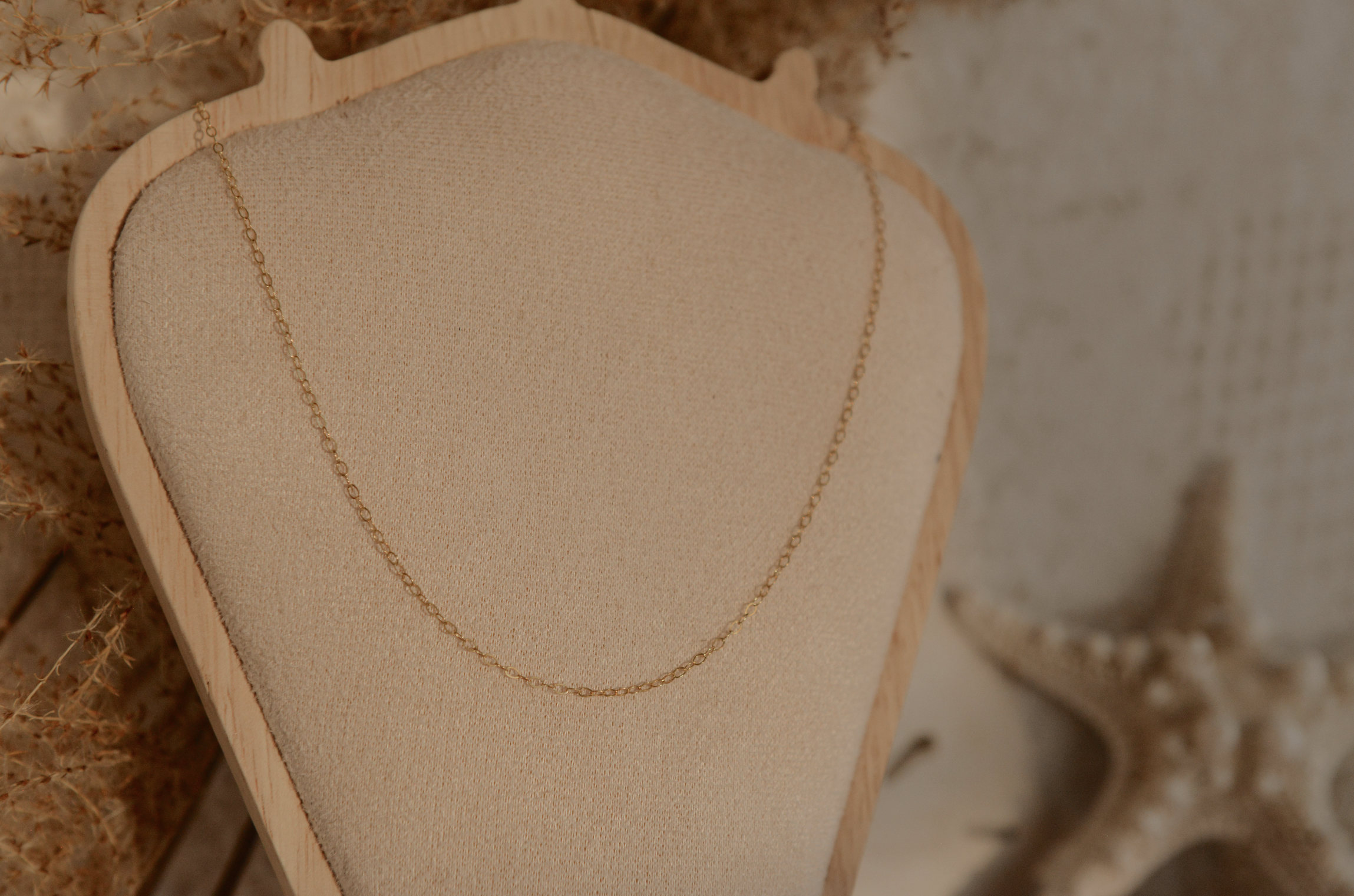 Screenshot 2026-01-29 at 7.15.10 PM.png