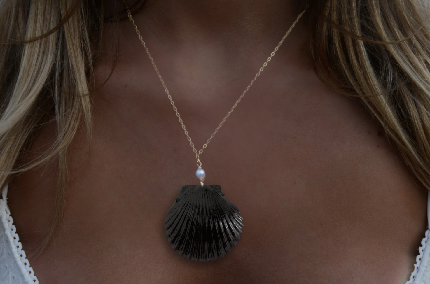 Coastal Storm Scallop