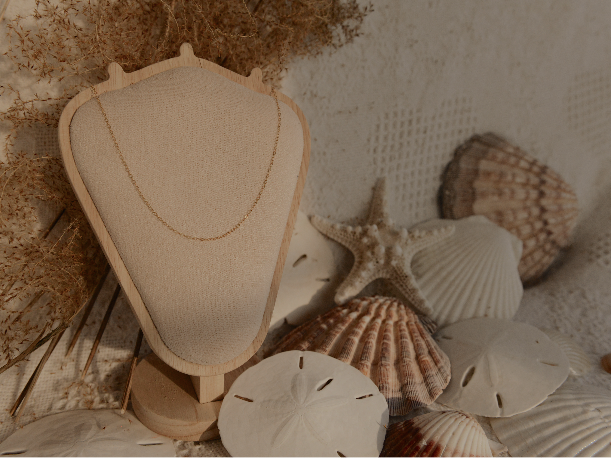 Screenshot 2026-01-29 at 7.15.02 PM.png