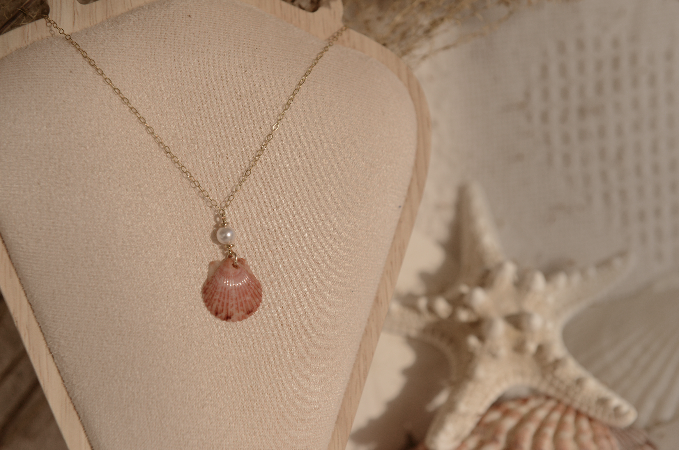 Screenshot 2026-01-29 at 8.14.23 PM.png