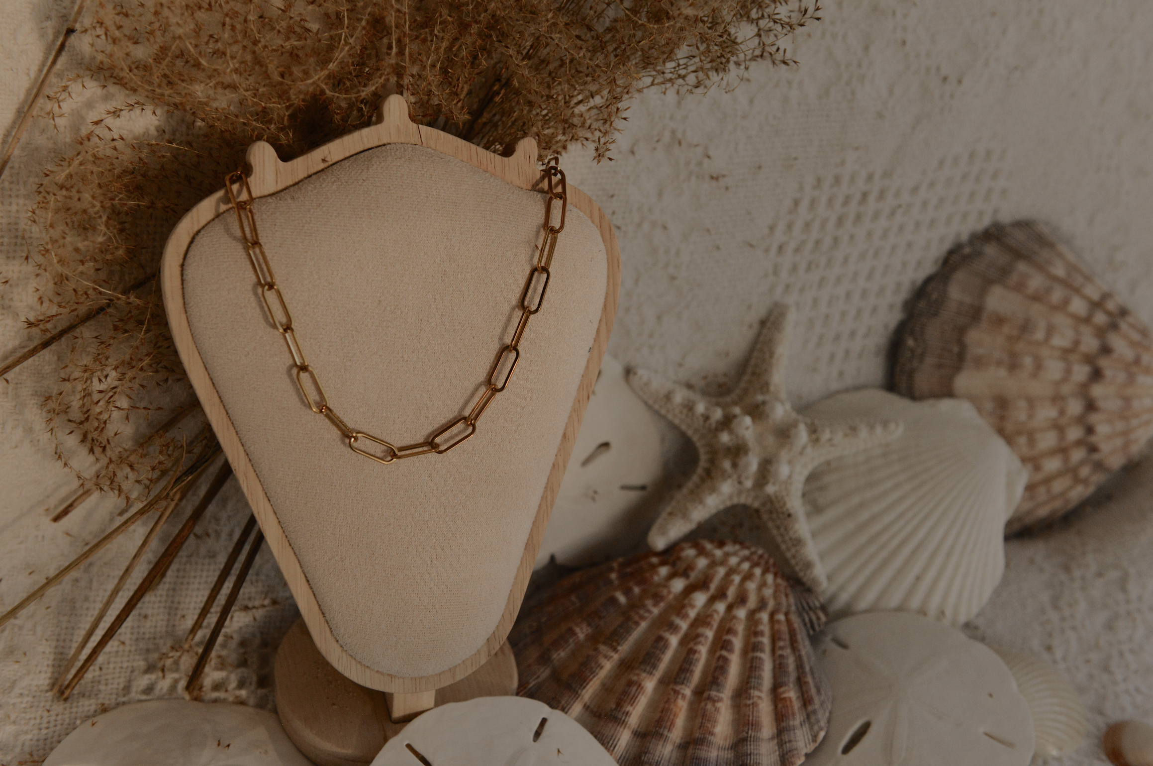 Screenshot 2026-01-29 at 7.25.48 PM.png