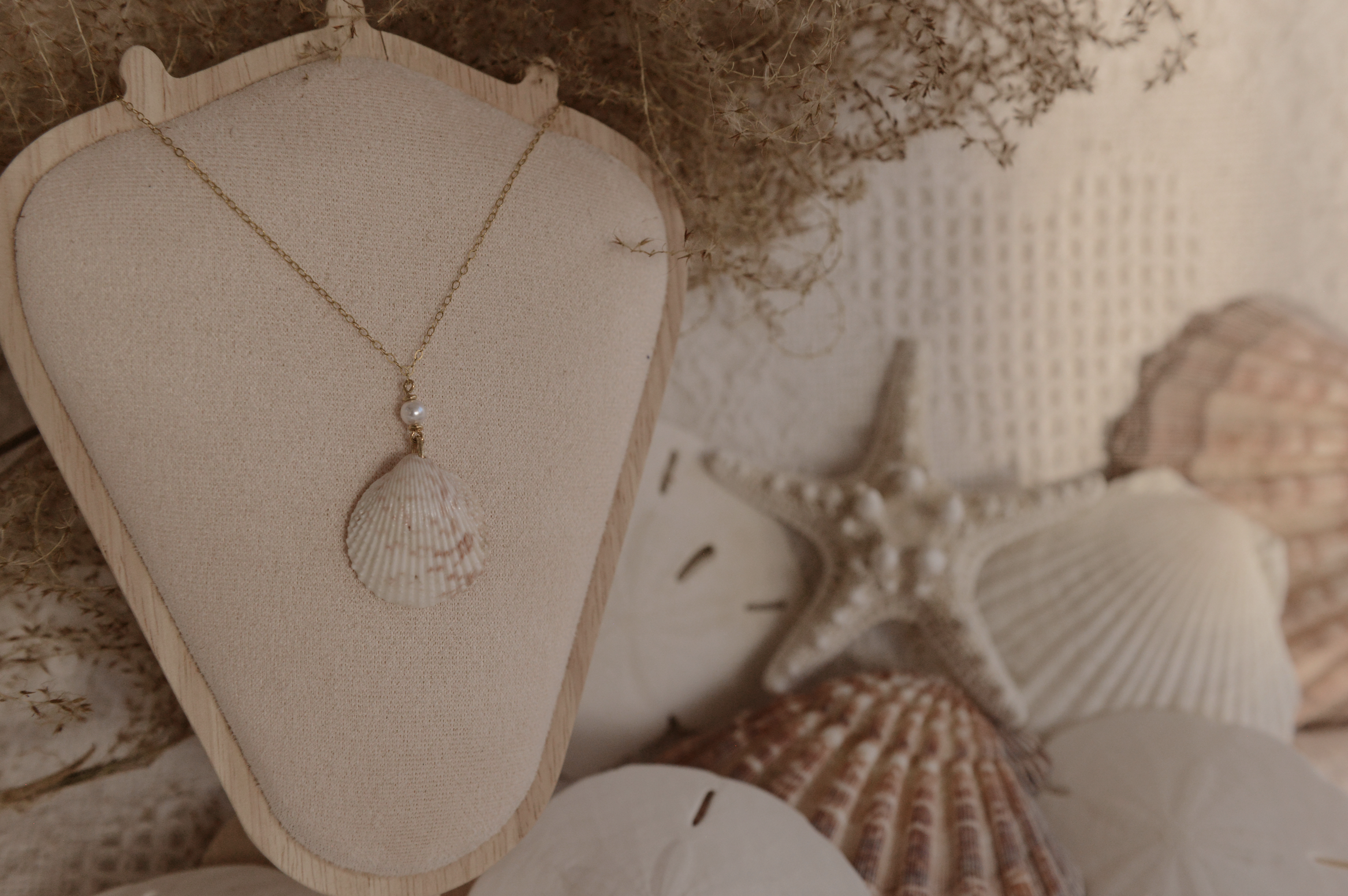 Screenshot 2026-01-29 at 8.13.41 PM.png