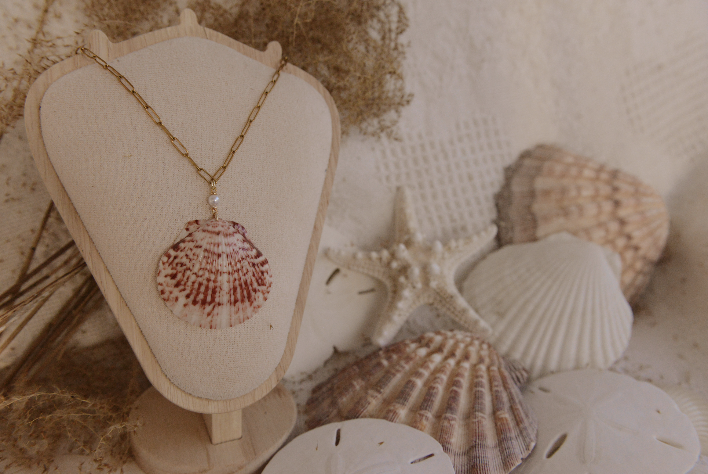 Screenshot 2026-01-29 at 8.01.36 PM.png