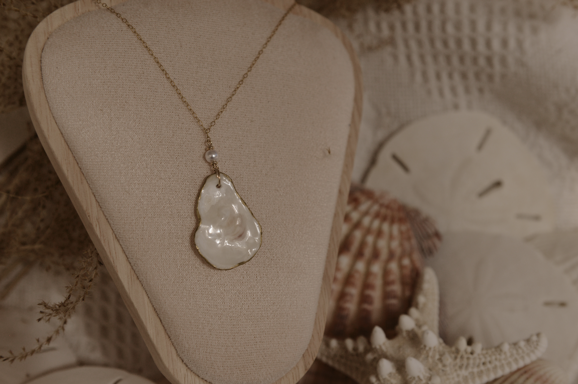 Screenshot 2026-01-29 at 8.23.42 PM.png