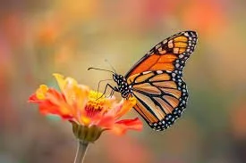 Is Christian Religion Holding Us Captive?