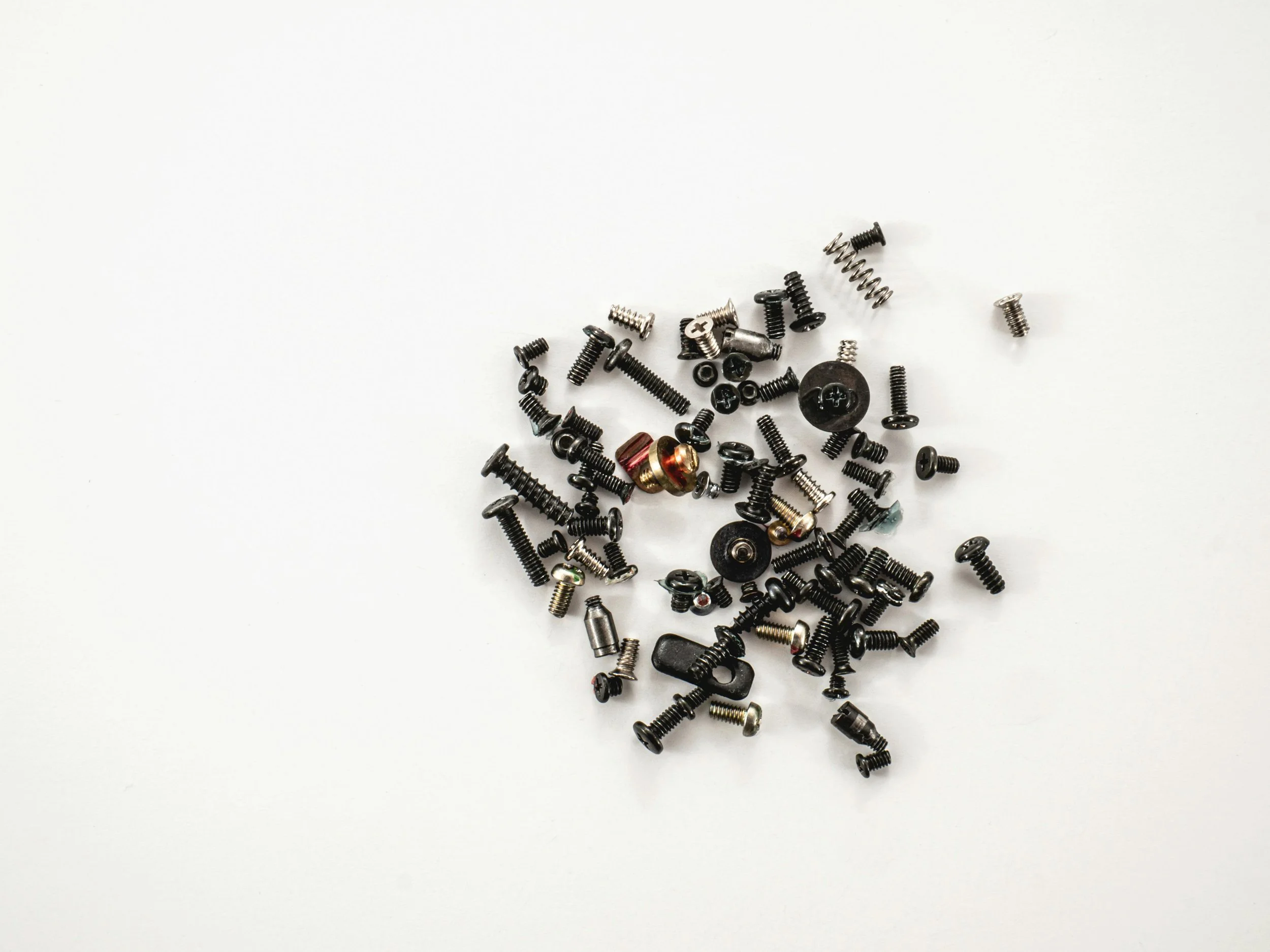 Essential repairs only. Picture of screws.