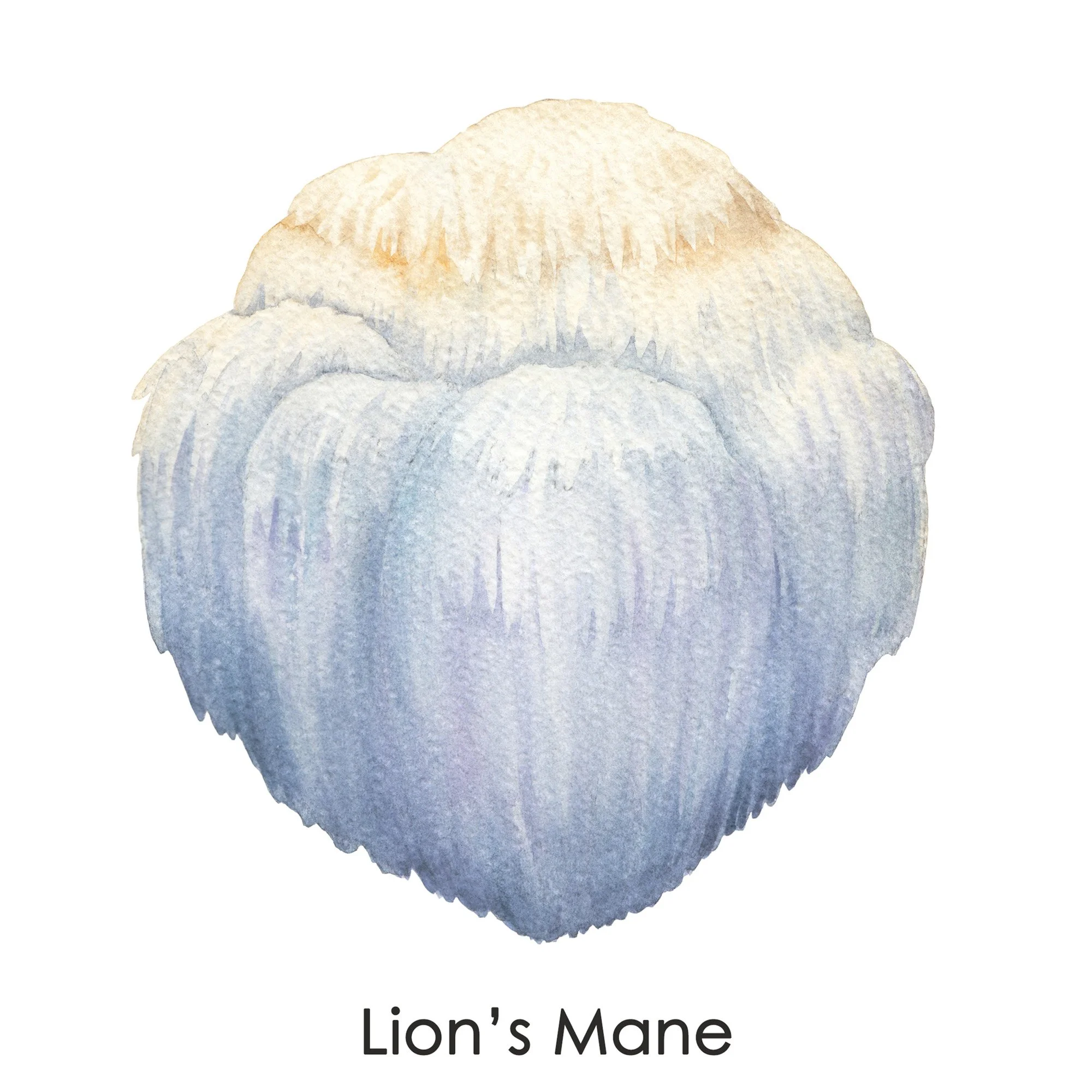 lions-mane-licensed-2000x2000-slide1x.jpg