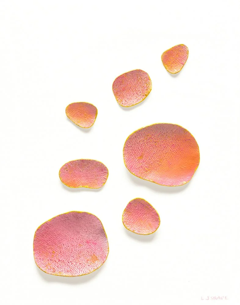 Euphoria
14 x 11 x 1 in
Invasive lionfish leather, acrylic, gold leaf, on canvas
Framed size: 15 3/8 × 12 × 2 in. Presentation: white floating frame.