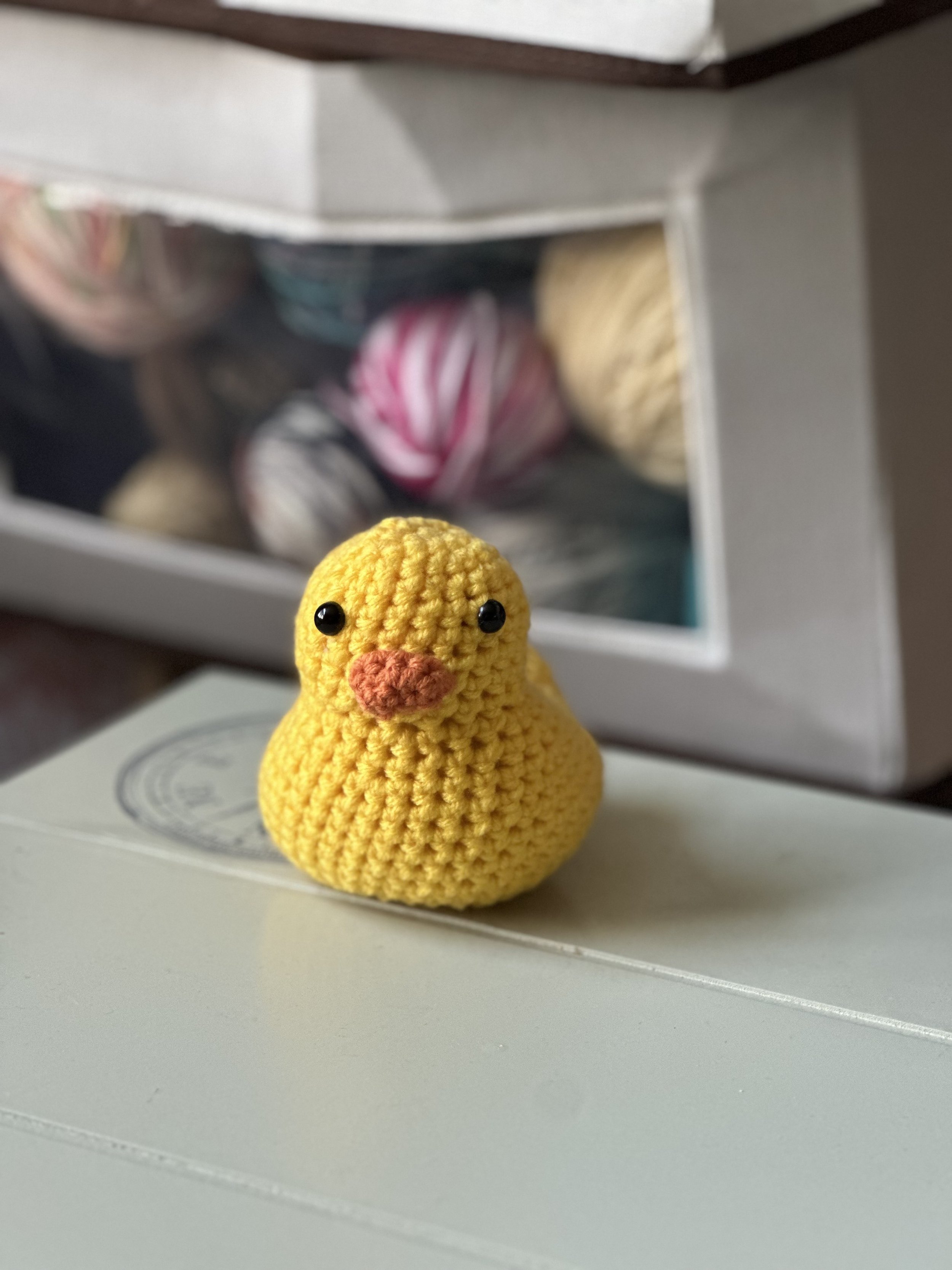 Duck