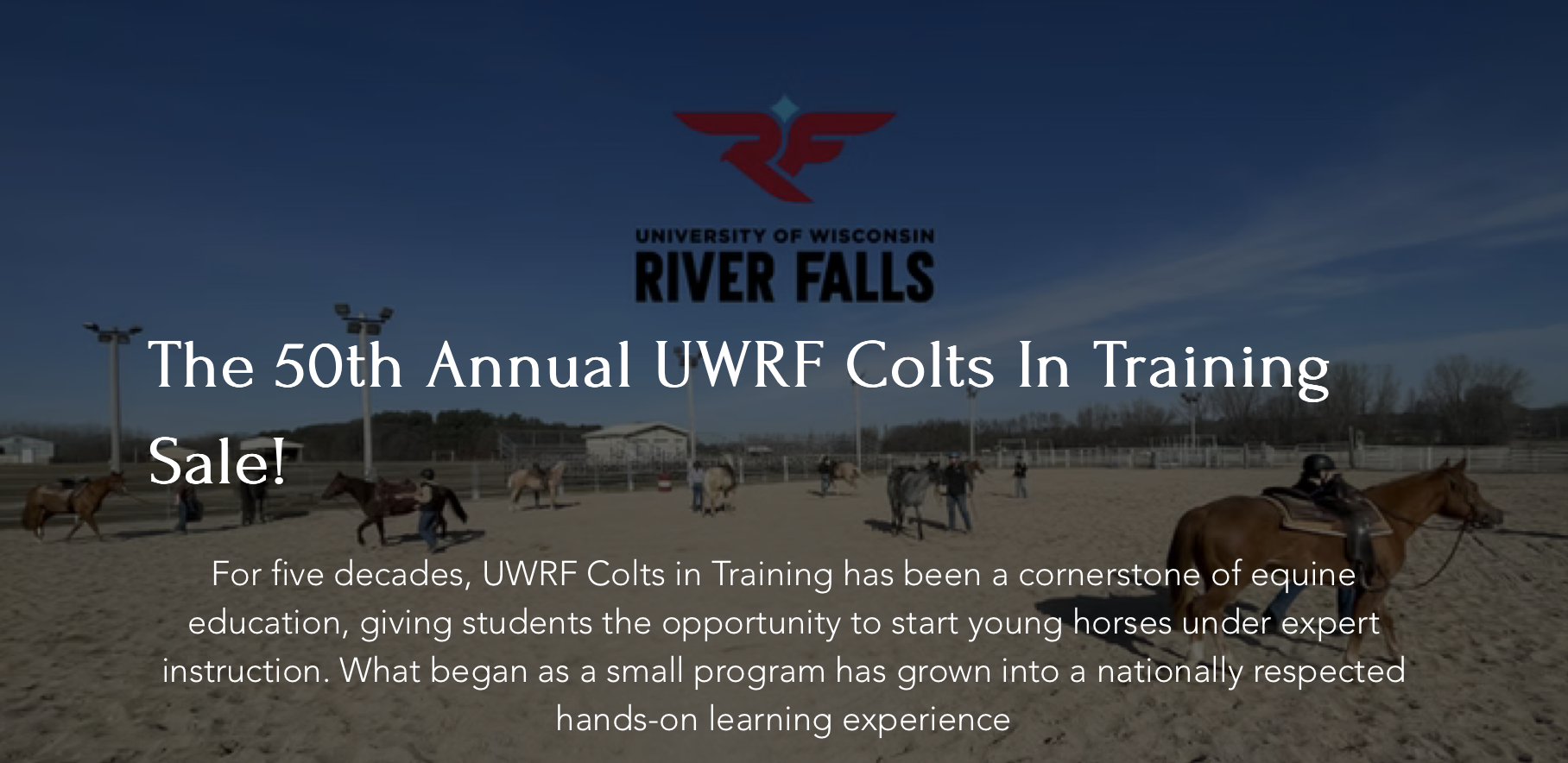 UWRF Colt Sale
