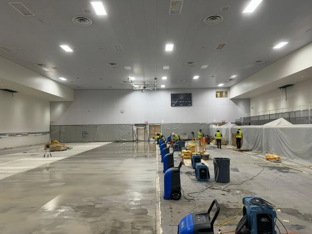 NY College of Technology court