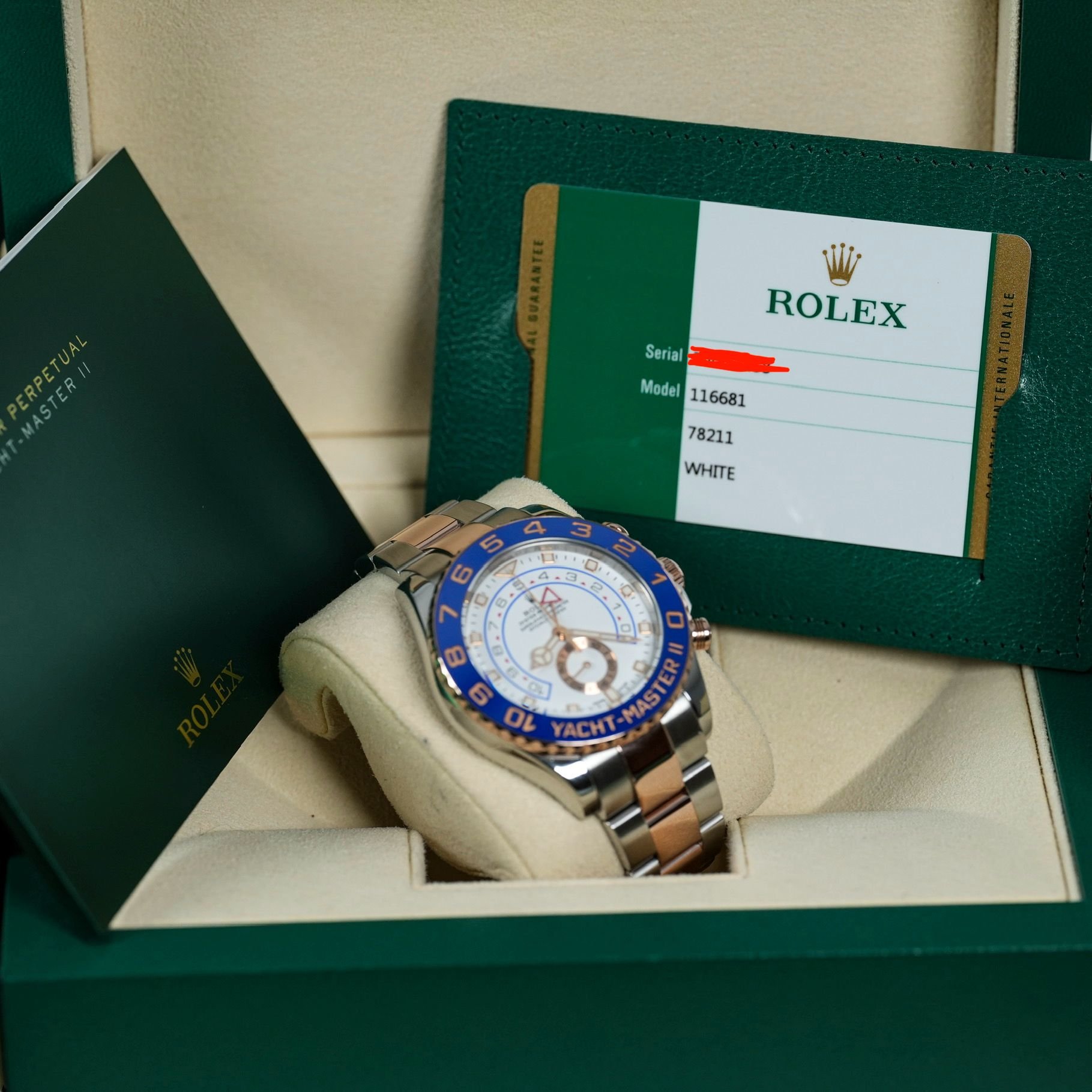 WhatsApp Image 2025-12-17 at 11.51.32 AM (2).jpeg