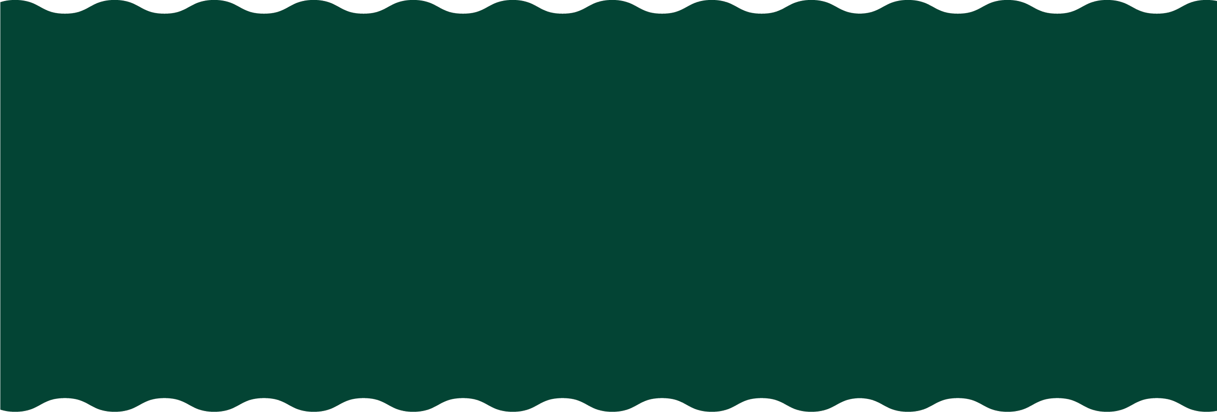 Green graphic design container to hold website text.