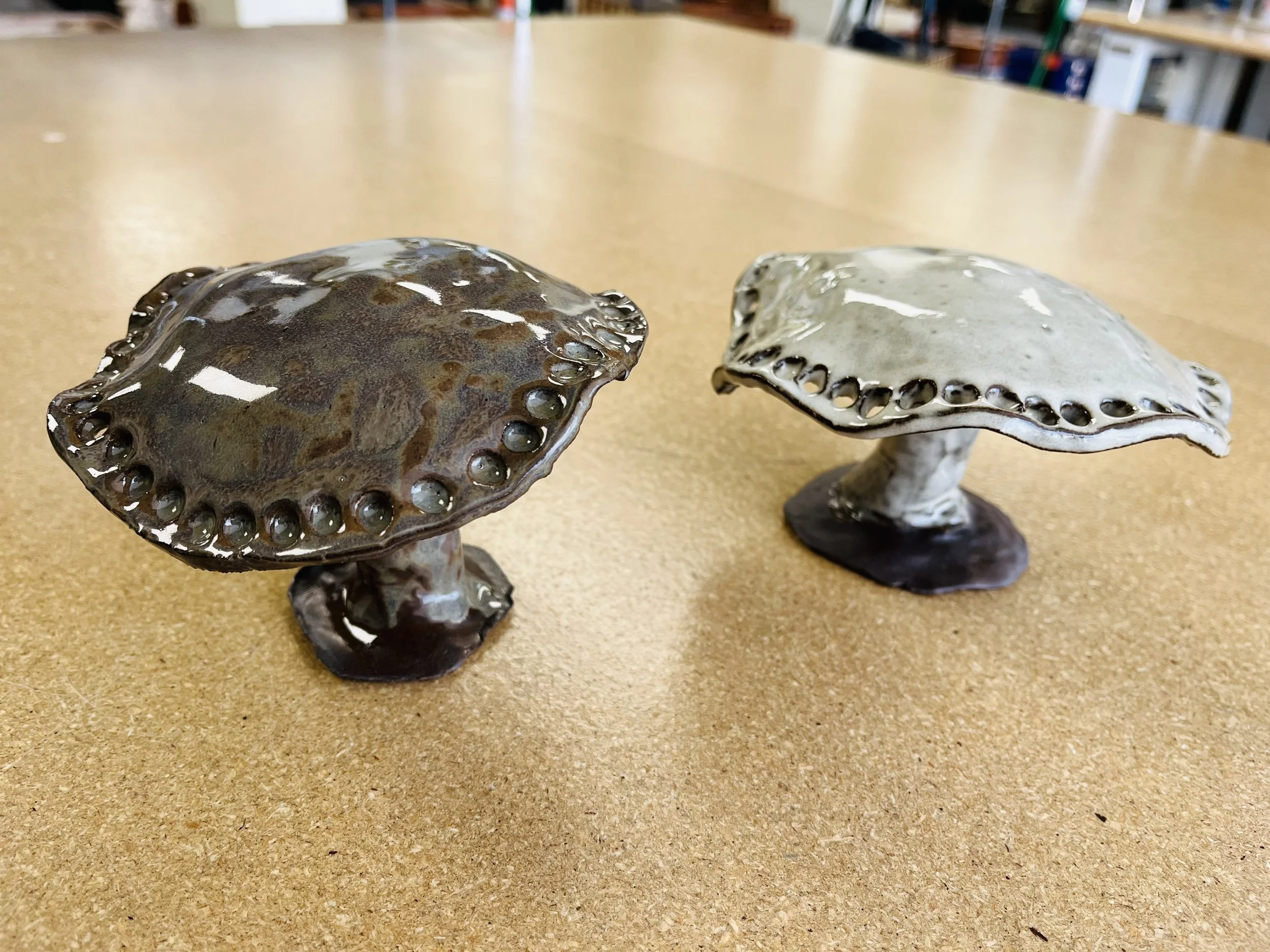 Fungi Fun: Sculpted Earring Tree! - August 9th, 2026