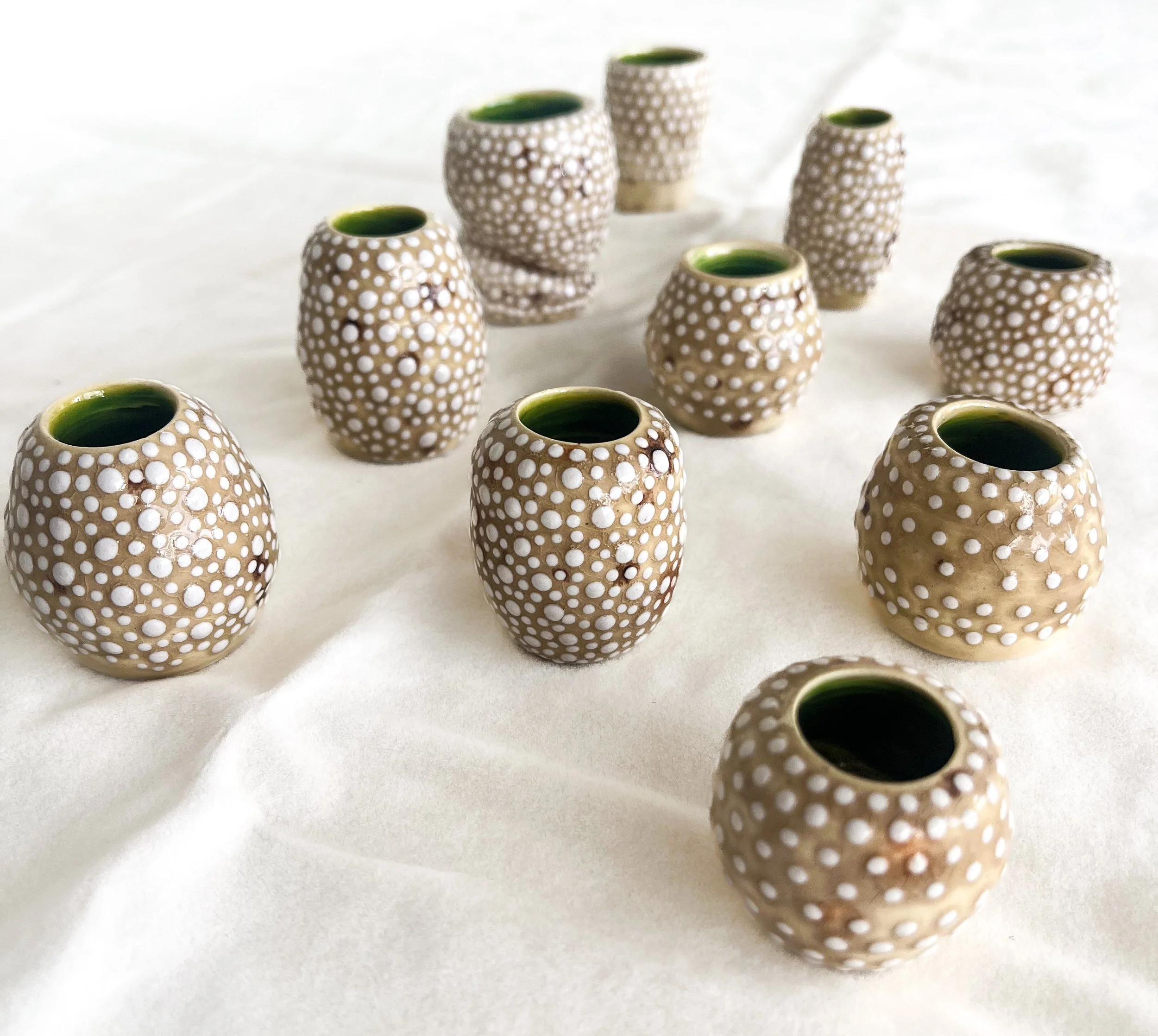 Bud Buddies - The Toffee Tribe