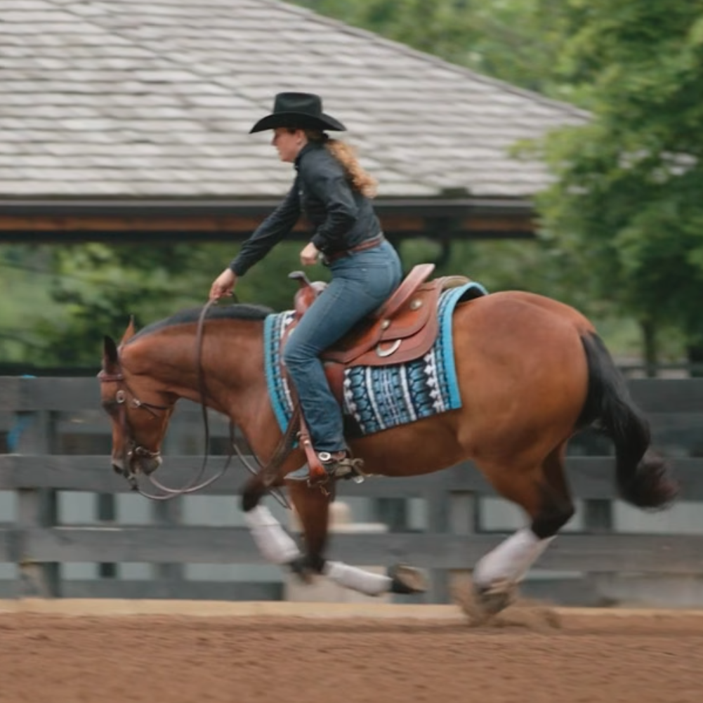 Boehringer Ingelheim - Horse Joint Health Testimonials